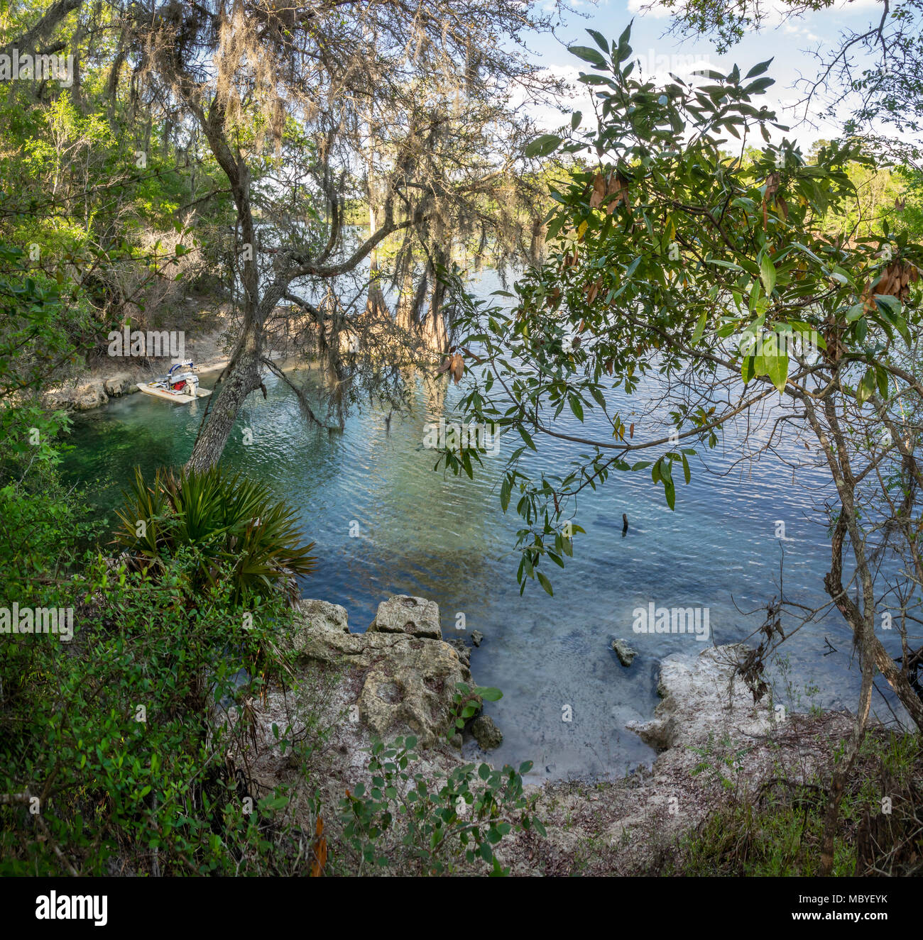 Suwannee River im Fletcher Springs in der Nähe von Belle Florida Stockfoto