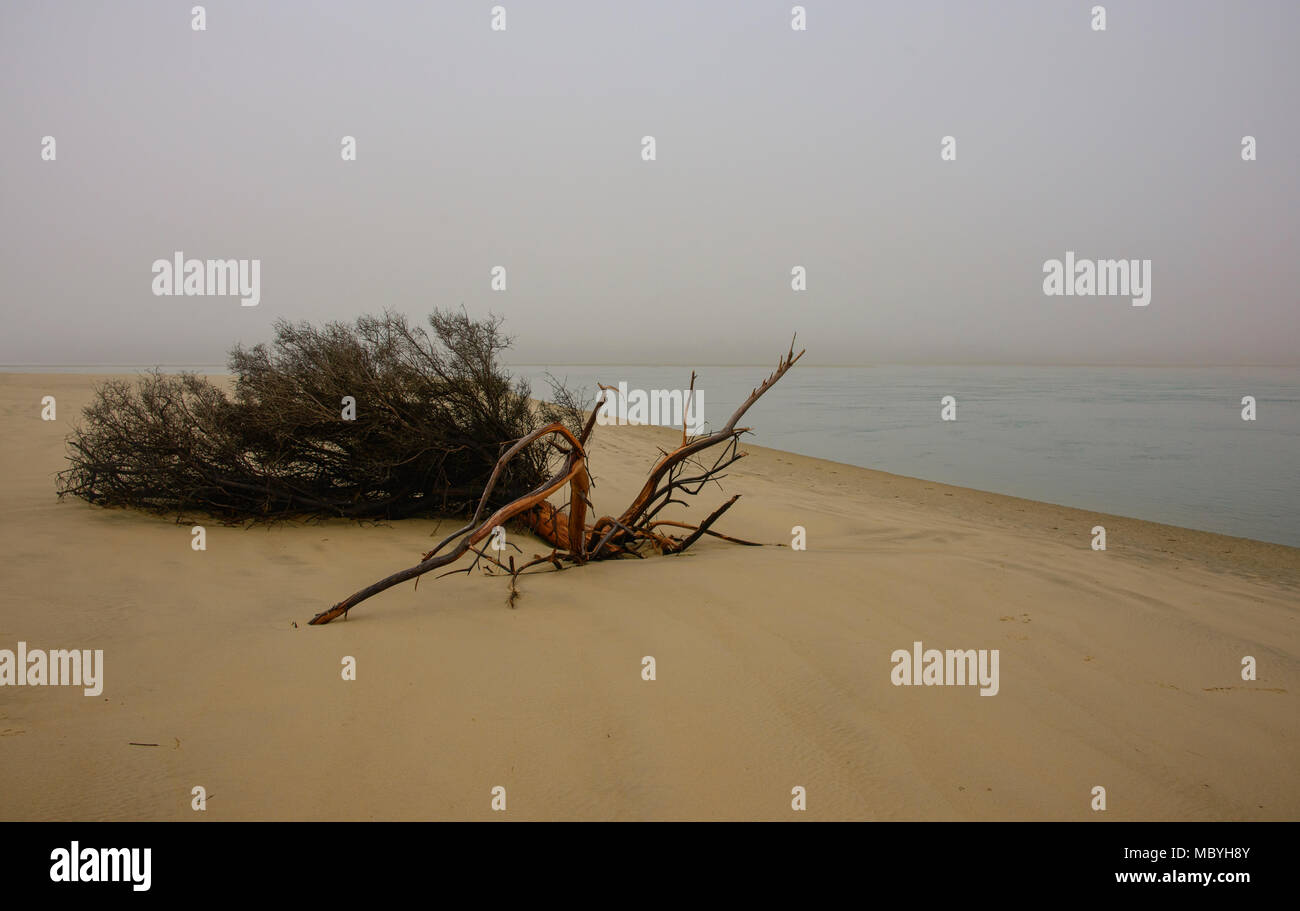 Leeren Strand, Surat Bay, die Catlins, Neuseeland Stockfoto