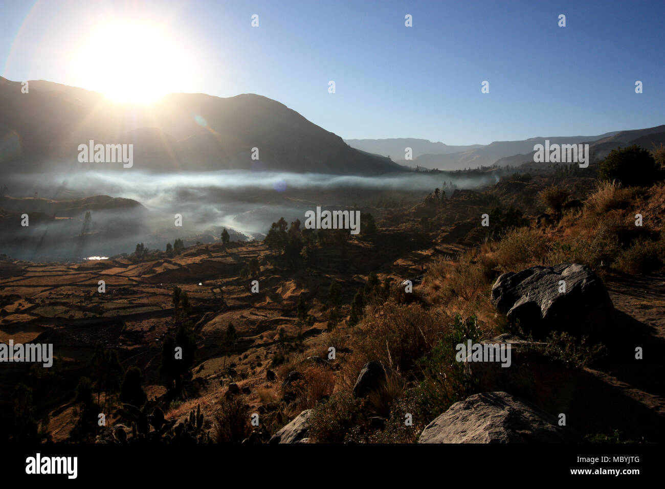 Morgen Nebel kriecht durch den Colca Canyon, während die Felder und eine Terrasse von der Sonne in ein warmes Licht getaucht sind, Stockfoto