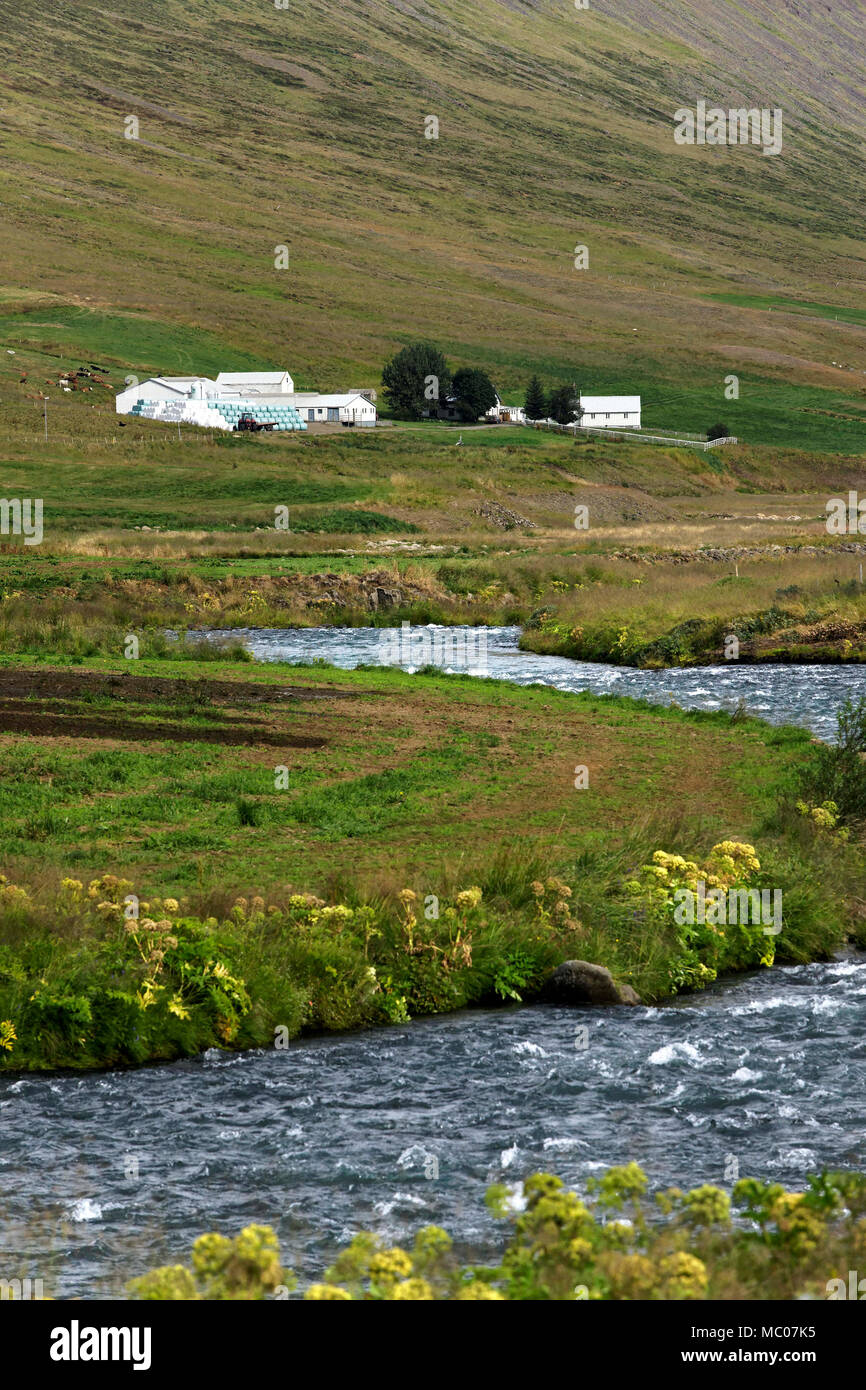 Jonasarlundur, Ackerland und Wasser Strom, Norden Islands Stockfoto