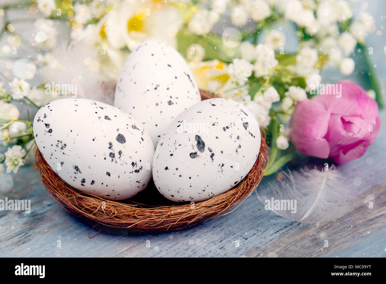 Nahaufnahme von Ostern Eier in ein Nest. Frühling Blumen und Federn über Blau rustikal Holz Hintergrund. Stockfoto