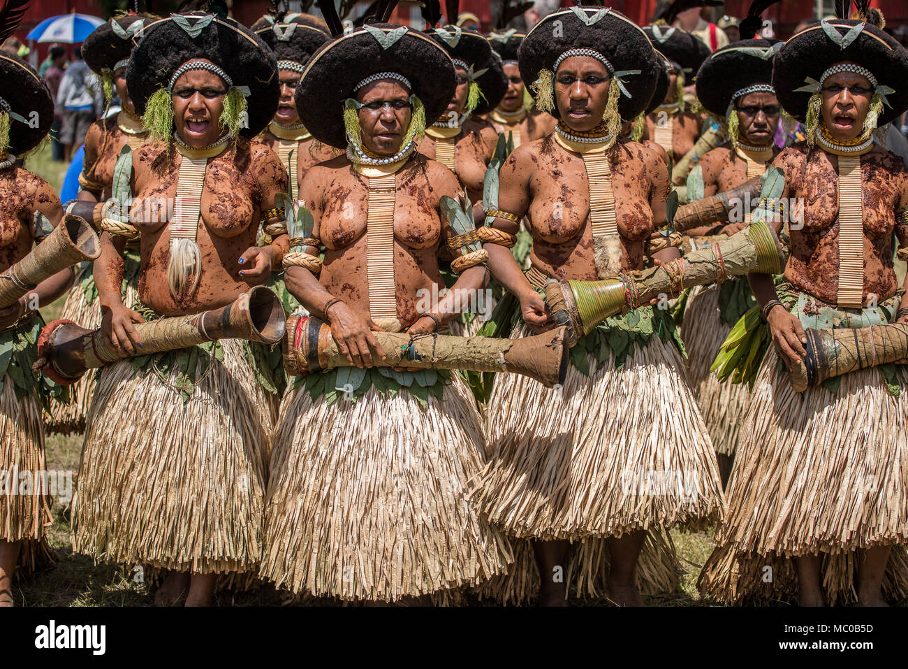 Eine Gruppe von Suli Muli Frauen von Enga tanzen mit runden das menschliche Haar Kopfschmuck, Mount Hagen Show, Papua-Neuguinea Stockfoto