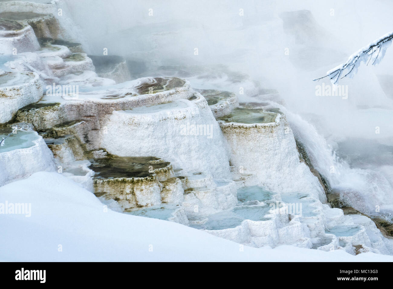 Travertin Pools mit mllky Mineral Wasser, Dampf und Nebel stürzen die Terrassen der Kanarischen Federn in Mammoth Hot Springs, Yellowstone Park Stockfoto