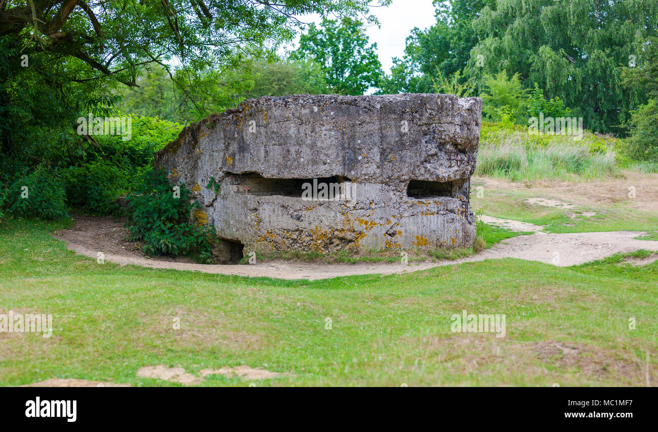 Alte deutsche Weltkrieg Bunker auf Western Front in der Nähe von Ypern, Belgien Stockfoto
