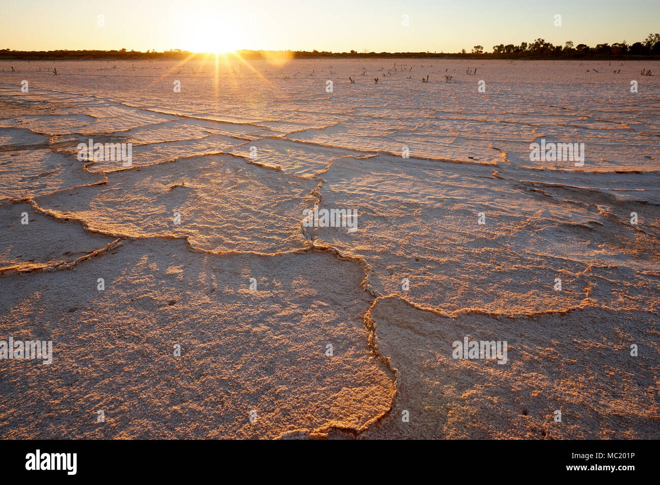 Salz verkrustet Oberfläche von Lamberts Sumpf, in der Nähe von Mildura. Stockfoto