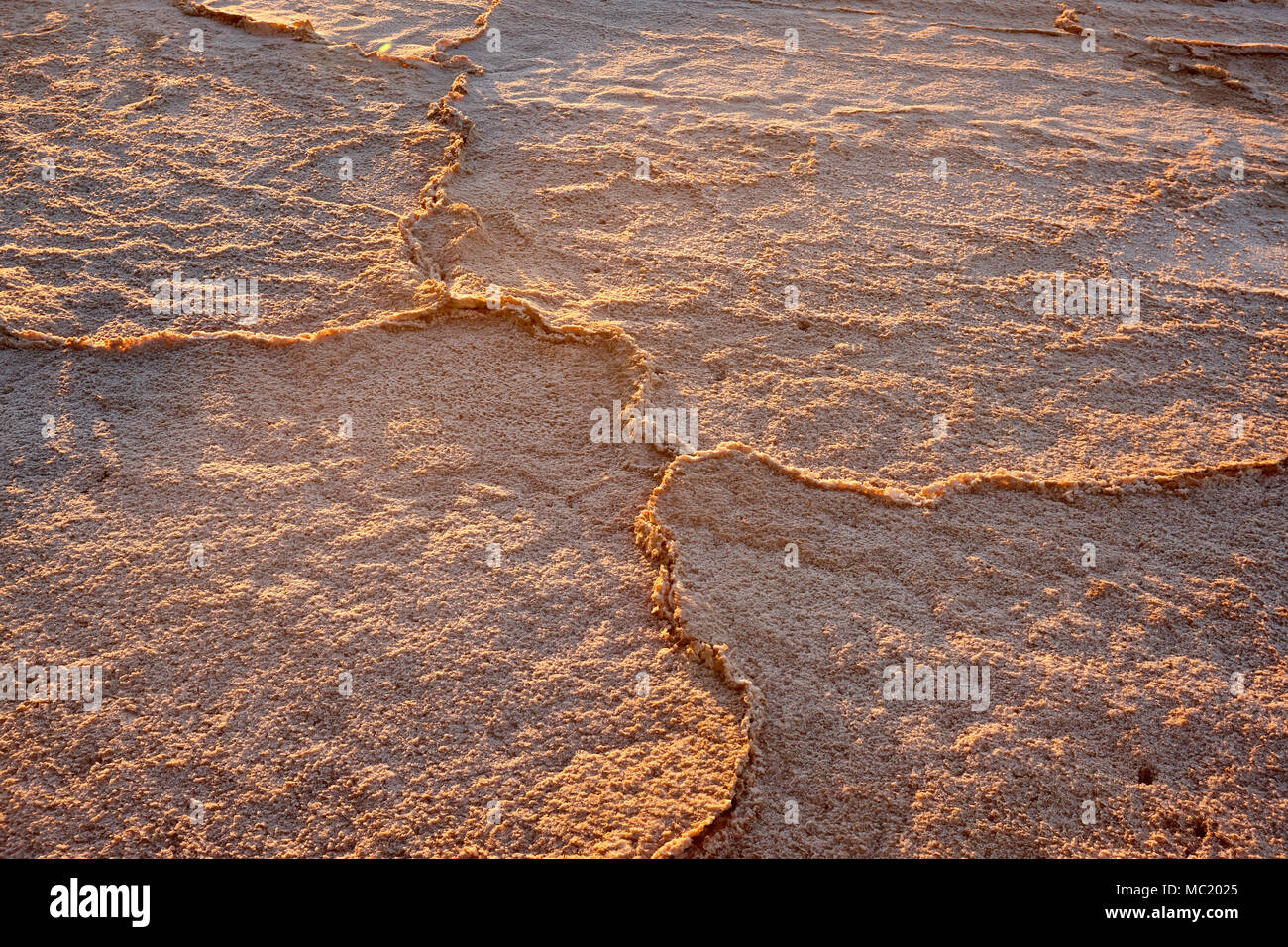 Goldenes Sonnenlicht verbessert die Textur in Salzkruste auf trockenen See in der Nähe von Mildura, Australien. Stockfoto