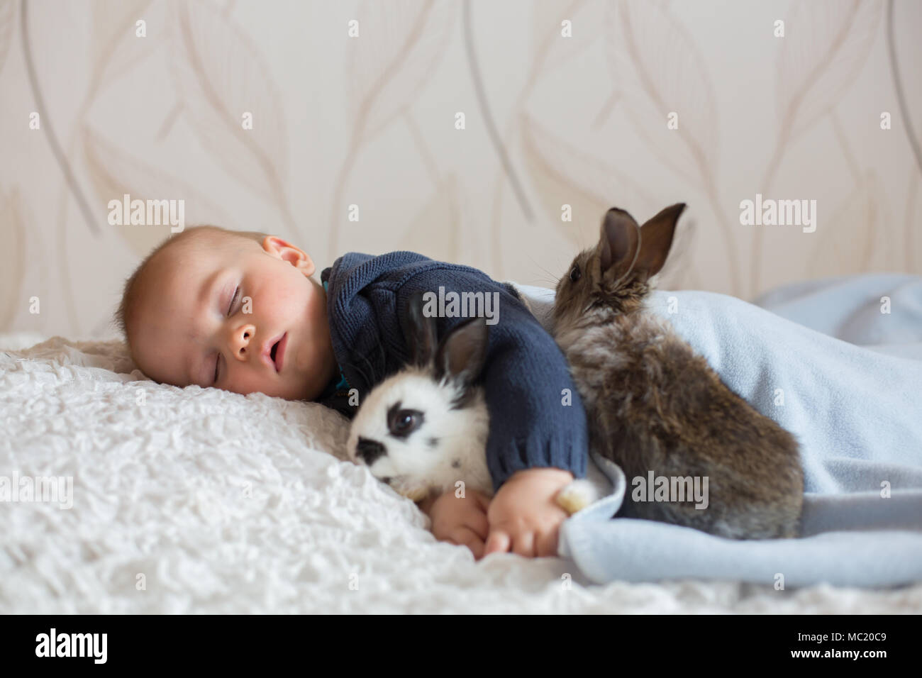 Süße kleine Baby Boy, Schlafen mit Haustier Kaninchen zu Hause Stockfoto