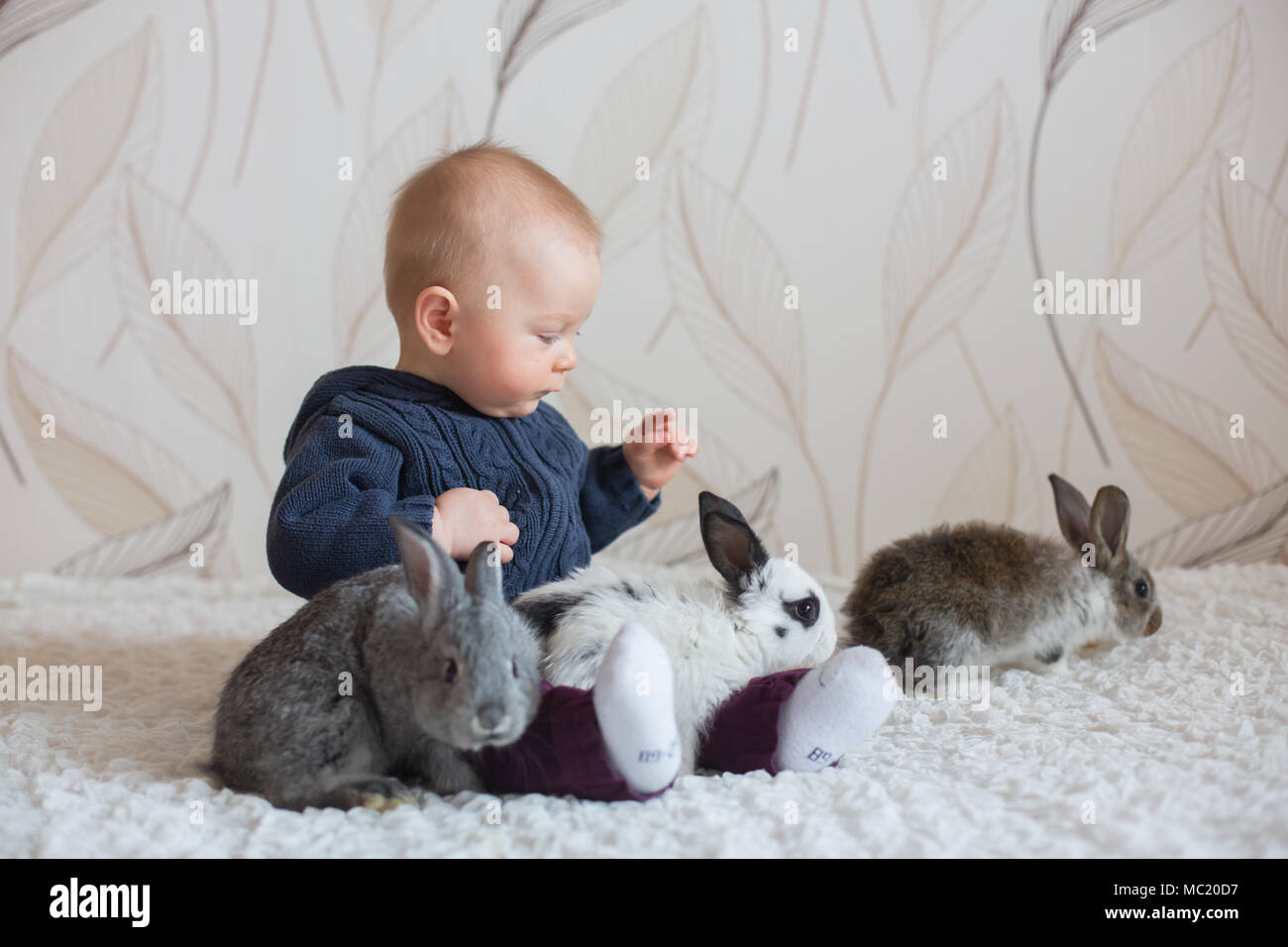 Süße kleine Baby Boy, spielen mit Kaninchen, Haustiere zu Hause Stockfoto