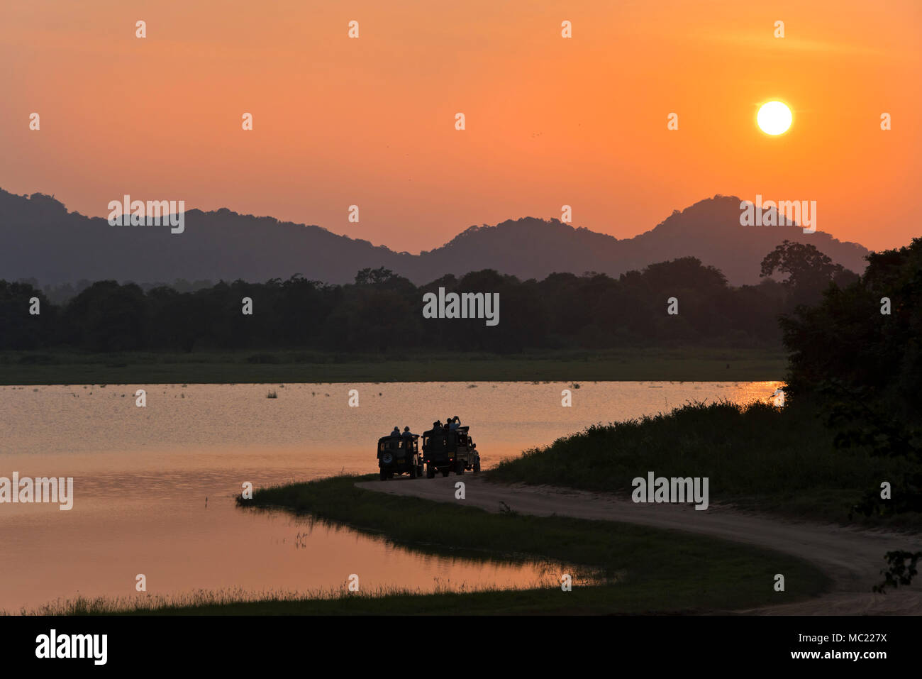 Horizontale Ansicht von Touristen am See geparkt der Sonnenuntergang an Minneriya National Park in Sri Lanka zu beobachten. Stockfoto