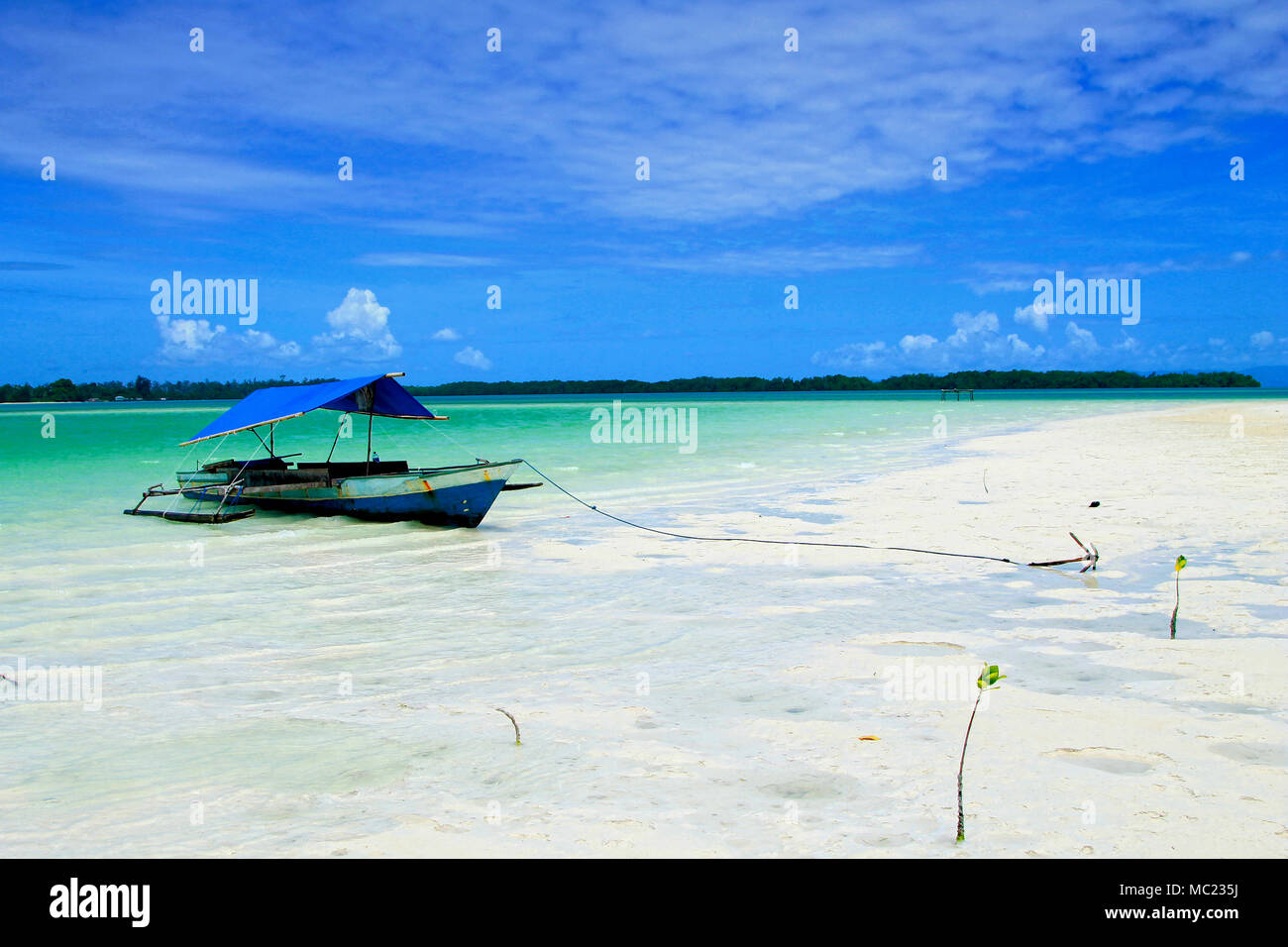 Boot am Strand in WiDi Archipel, Nord Molukken Stockfoto