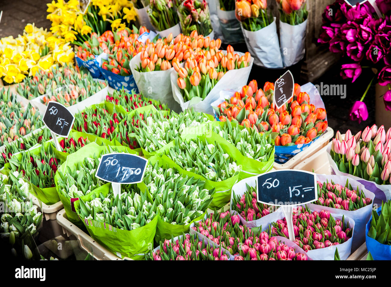 Blumensträuße von Tulpen Stockfoto