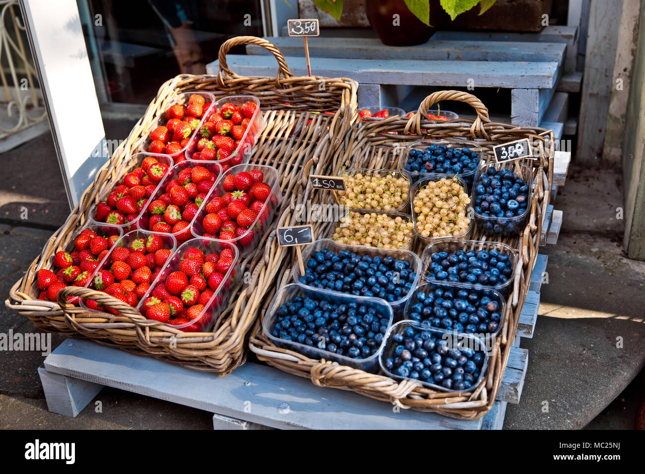 Erdbeeren im Boxen Stockfoto