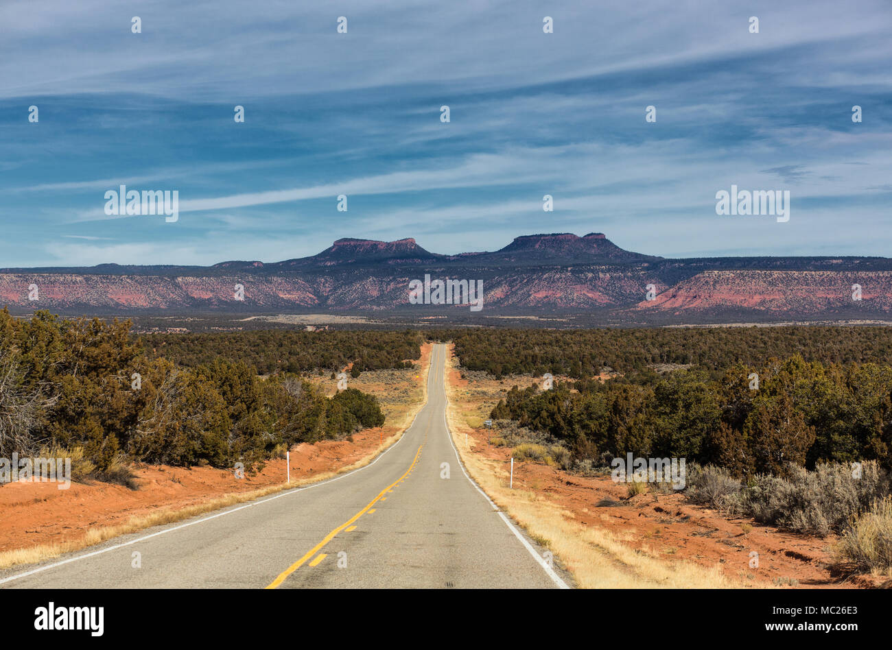 Eine Landstraße führt zum berühmten buttes der Bären Ohren National Monument im südlichen Utah. Die buttes aussehen wie die Ohren eines Bären. Stockfoto
