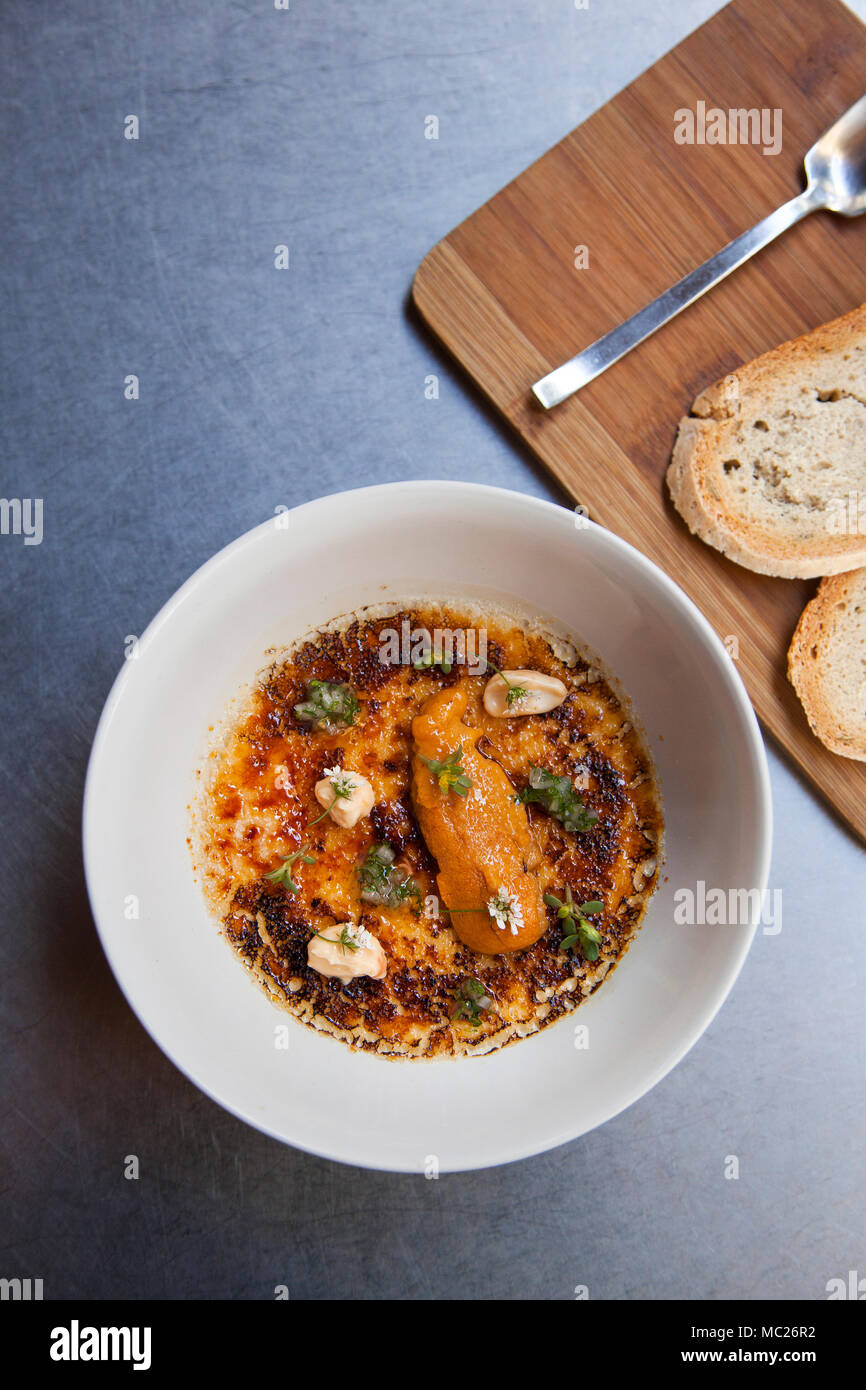 Rindfleisch Knochenmark mit Seeigel Creme Brûlée garniert mit Blumen Malva, Valle de Guadalupe, Baja California, Mexiko Stockfoto