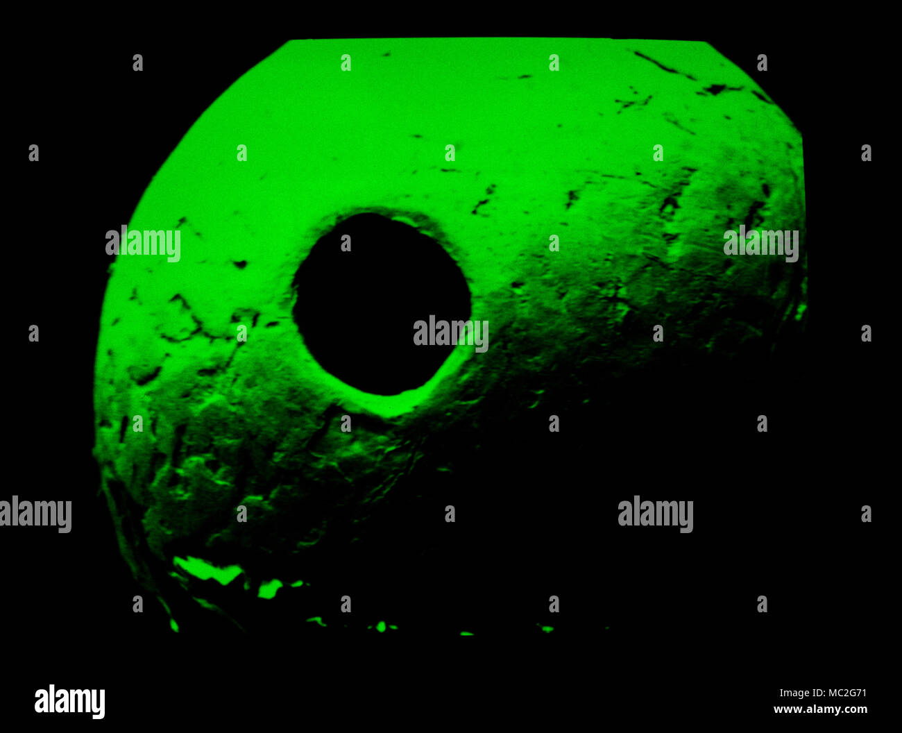 Polizei forensische Wissenschaft DIENSTLEISTUNGEN LABOR, Lambeth, London. Scotland Yard Schwarz Museum Lambeth 1986 die Kugel auf 1,52 mm auf eine eltro Scanning Mikroskop, die den Giftstoff Rizin die Ermordung des bulgarischen BBC-Journalist Georgi Markov am 7. September 1978 an. Die Kugel wurde in die Spitze von einem Regenschirm, erstochen wurde, inti sein Bein als er zu Hause in der Waterloo Bridge in London ging eingefügt. Georgi Markov ermordet wurde auf einer Londoner Straße über ein Micro-engineered Pellet mit Ricin, in seinem Bein, abgefeuert aus einem Regenschirm von jemand mit zugehörigen Stockfoto