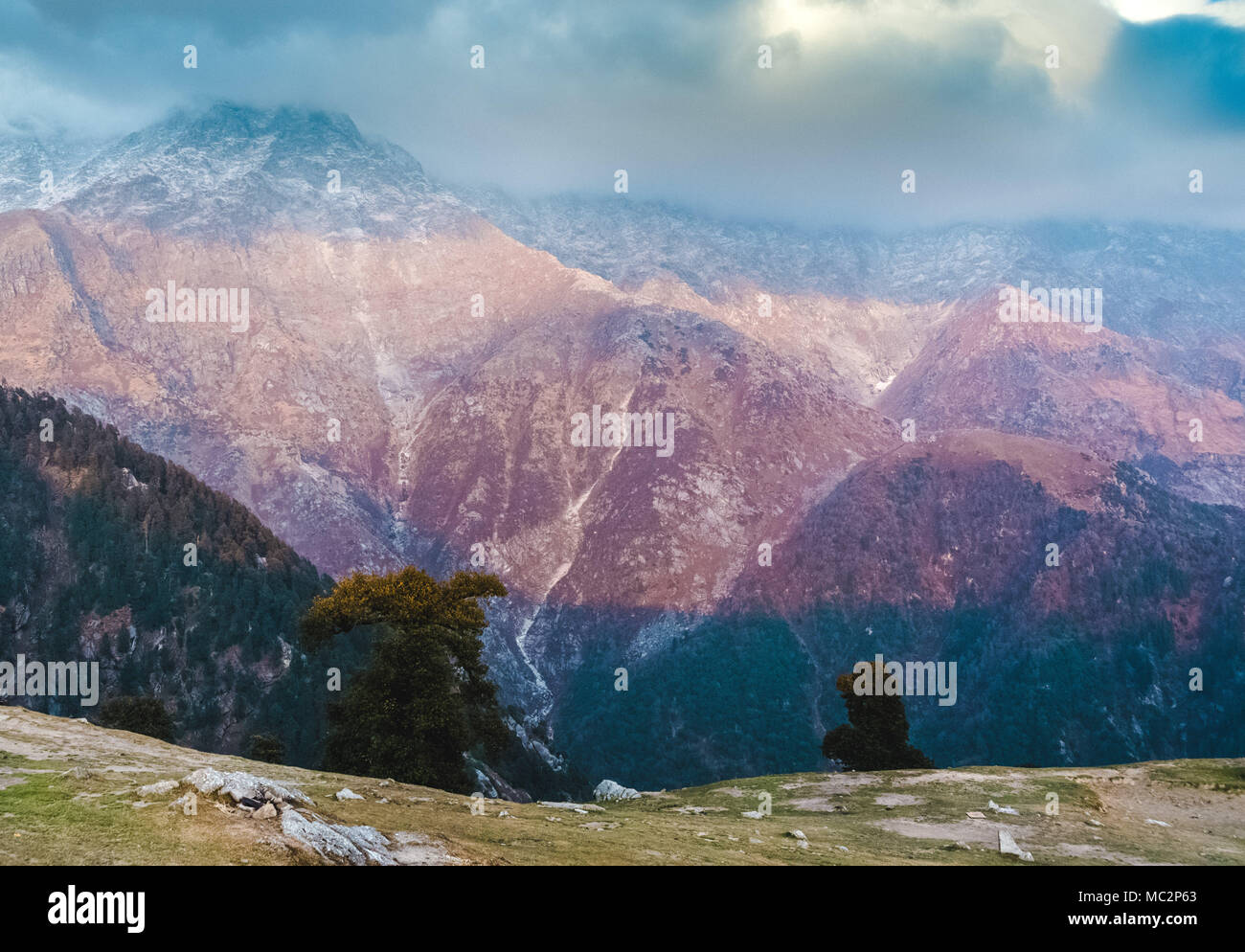 Blick auf die Dhauladhar Bergkette von triund Hill, Himachal Pradesh, Indien Stockfoto