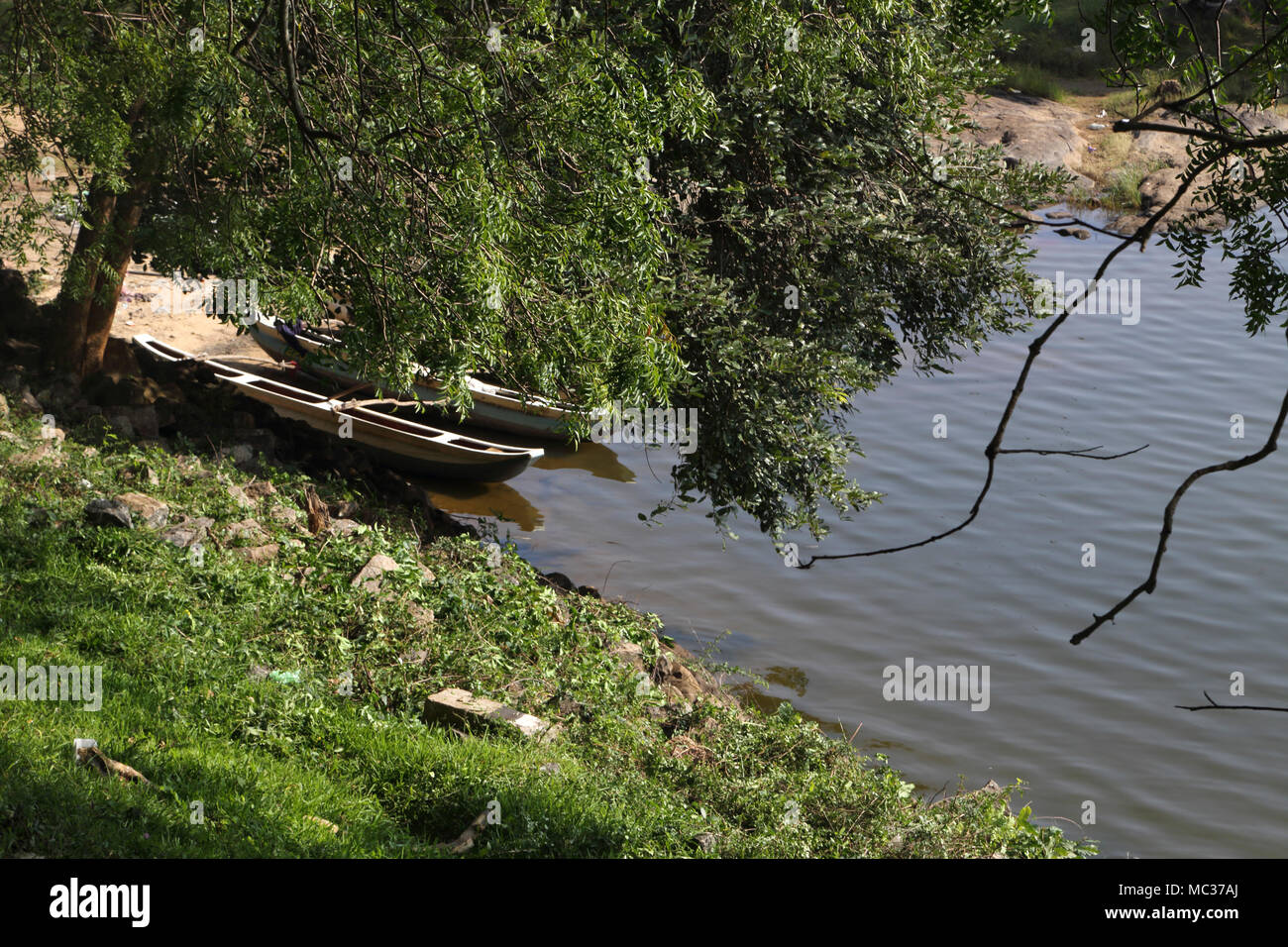 Avukana Kekirawa North Central Provinz Sri Lanka Kala Wewa Auslegern am Ufer Stockfoto