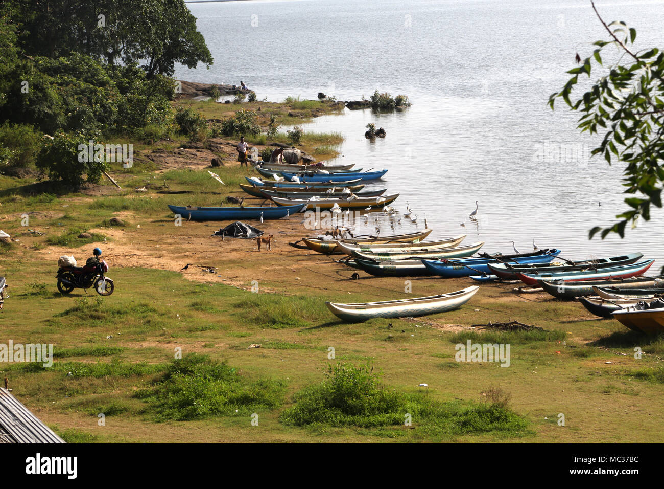 Avukana Kekirawa North Central Provinz Sri Lanka Kala Wewa Ausleger und Boote an Land. Stockfoto
