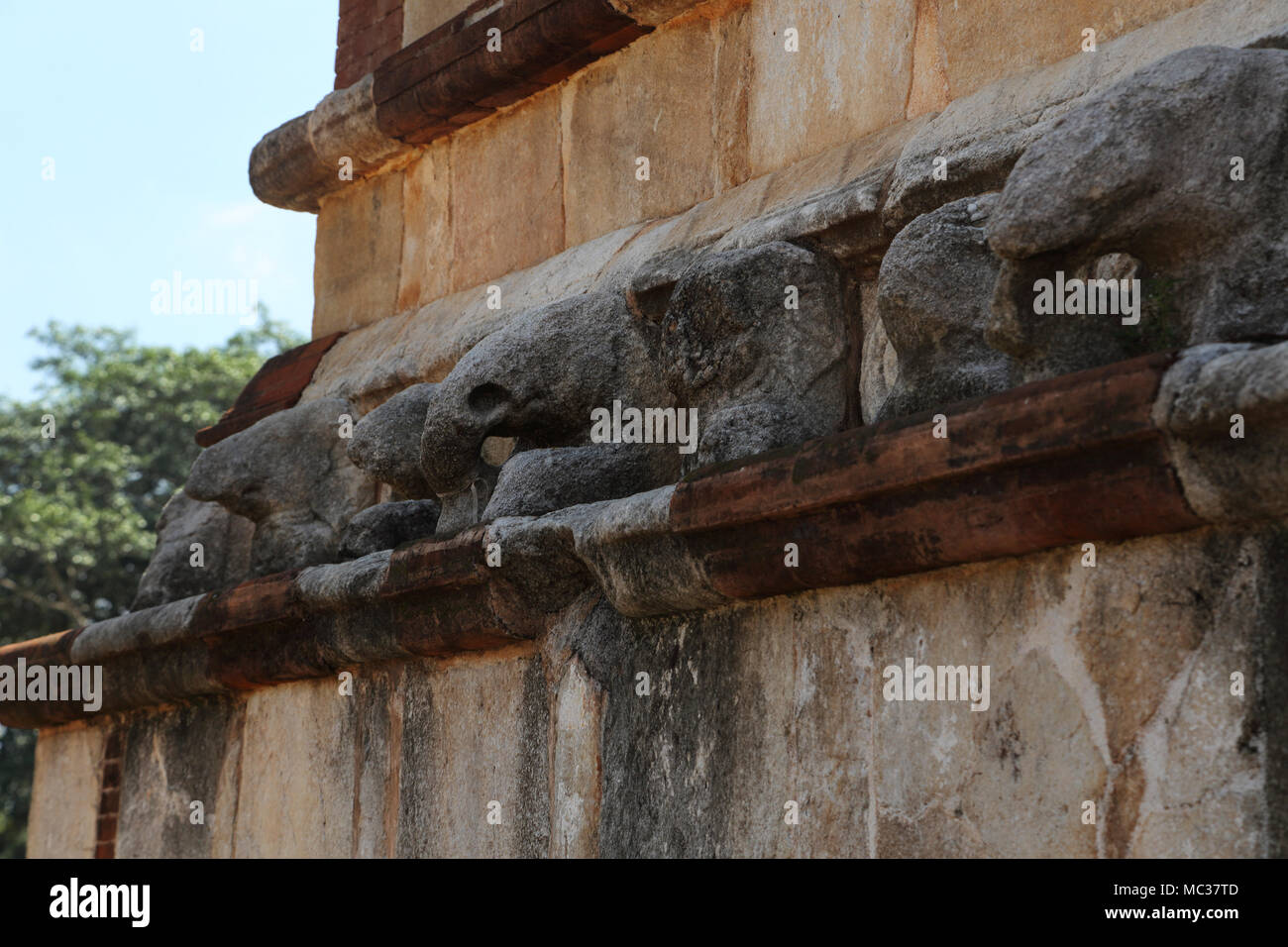 Anuradhapura North Central Provinz Sri Lanka Jetavanarama Dagoba Schnitzen von Elefanten. Stockfoto