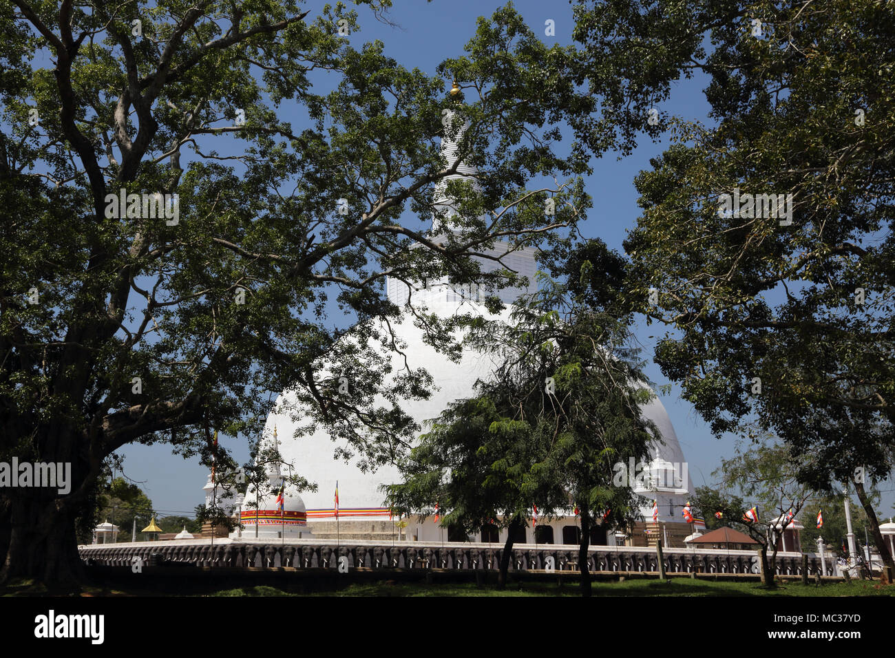 Ruwanwelisaya Dagoba Anuradhapura North Central Provinz Sri Lanka Stockfoto