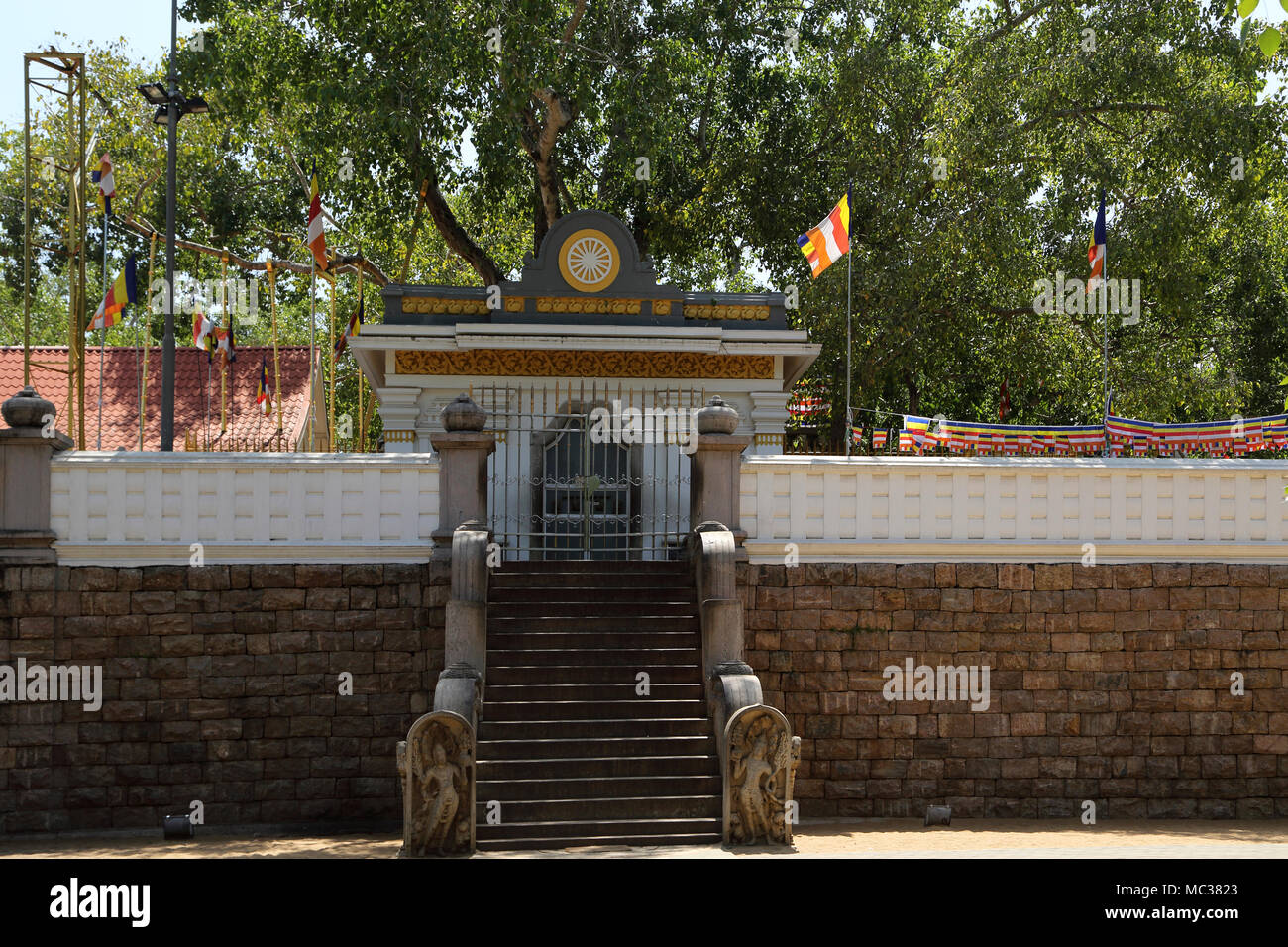 Anuradhapura North Central Provinz Sri Lanka Sri Maha Bodhi Stockfoto