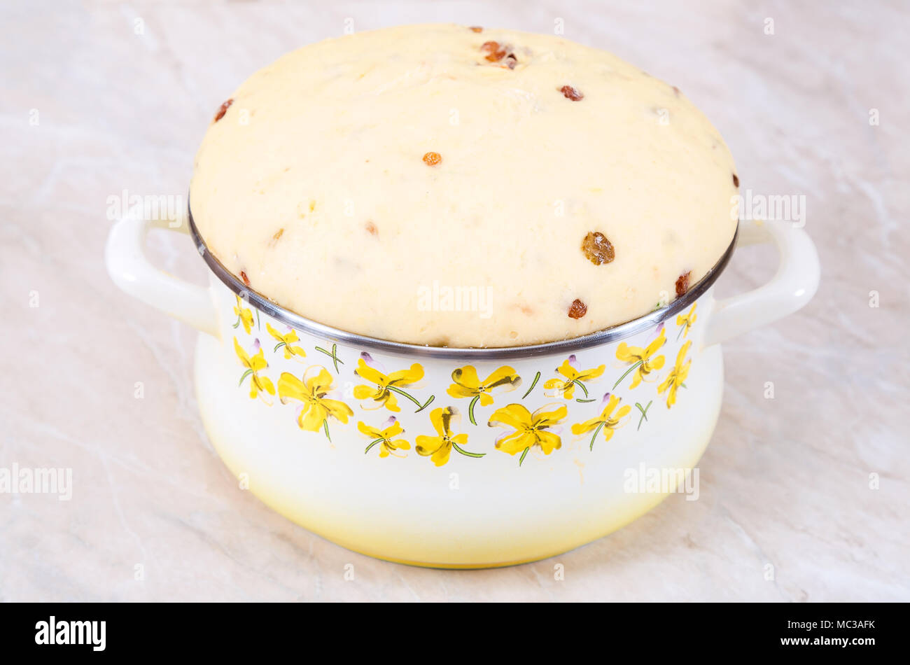 Süßer Hefeteig mit Rosinen von einer Hausfrau gebacken werden vorbereitet Stockfoto