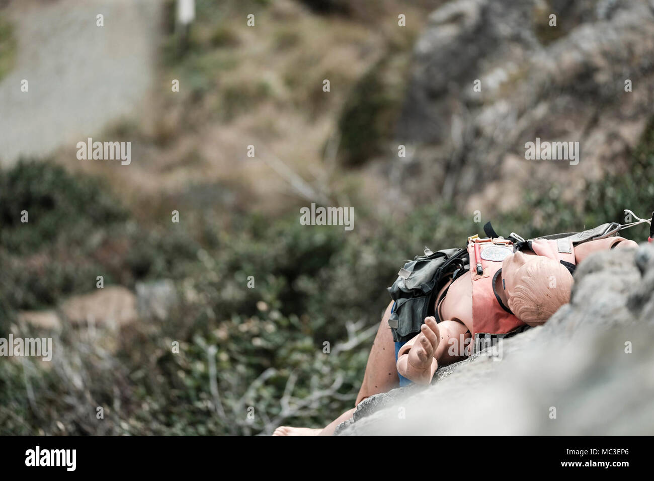 Oscar, ein Mannequin für Suche und Rettung Ausbildung genutzt, auf einer Klippe am Patrick's Point State Park für Helikopter cliff Rescue Training positioniert, 7. März 2018. Coast Guard Besatzungen routinemäßig Cliff rescue Training Qualifikationen zu erhalten und Kenntnisse in ihren Rettungstechniken im Falle einer Person in Not auf einer Klippe zu erhalten. Stockfoto