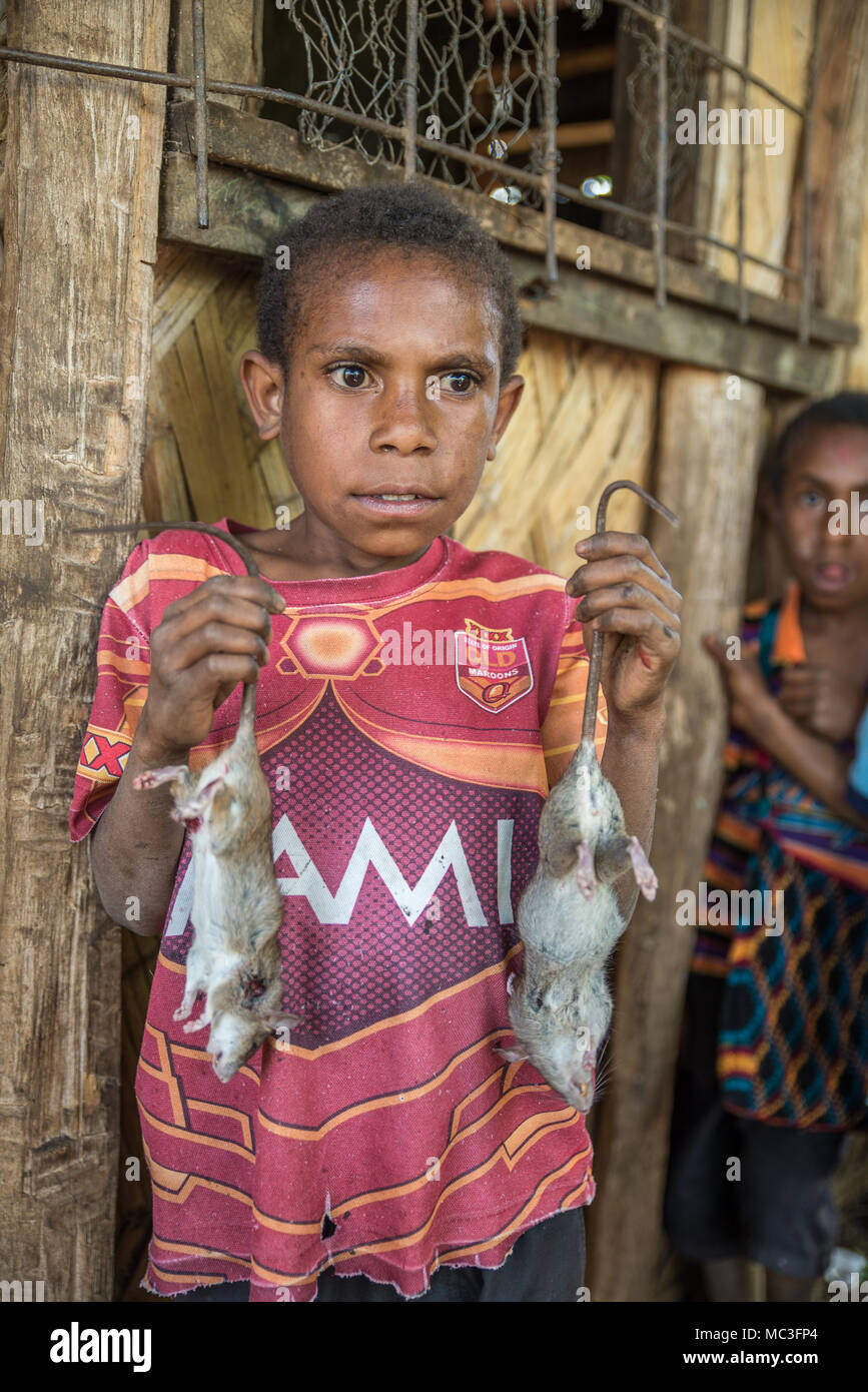 Ein Junge nur zwei Mäuse gefangen, Goroka, Eastern Highlands Provinz, Papua Neu Guinea Stockfoto