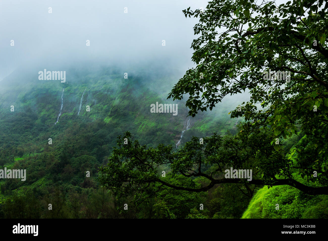 Der Monsun Landschaft vistas von Western Ghats um Pune, Maharashtra, Indien Stockfoto