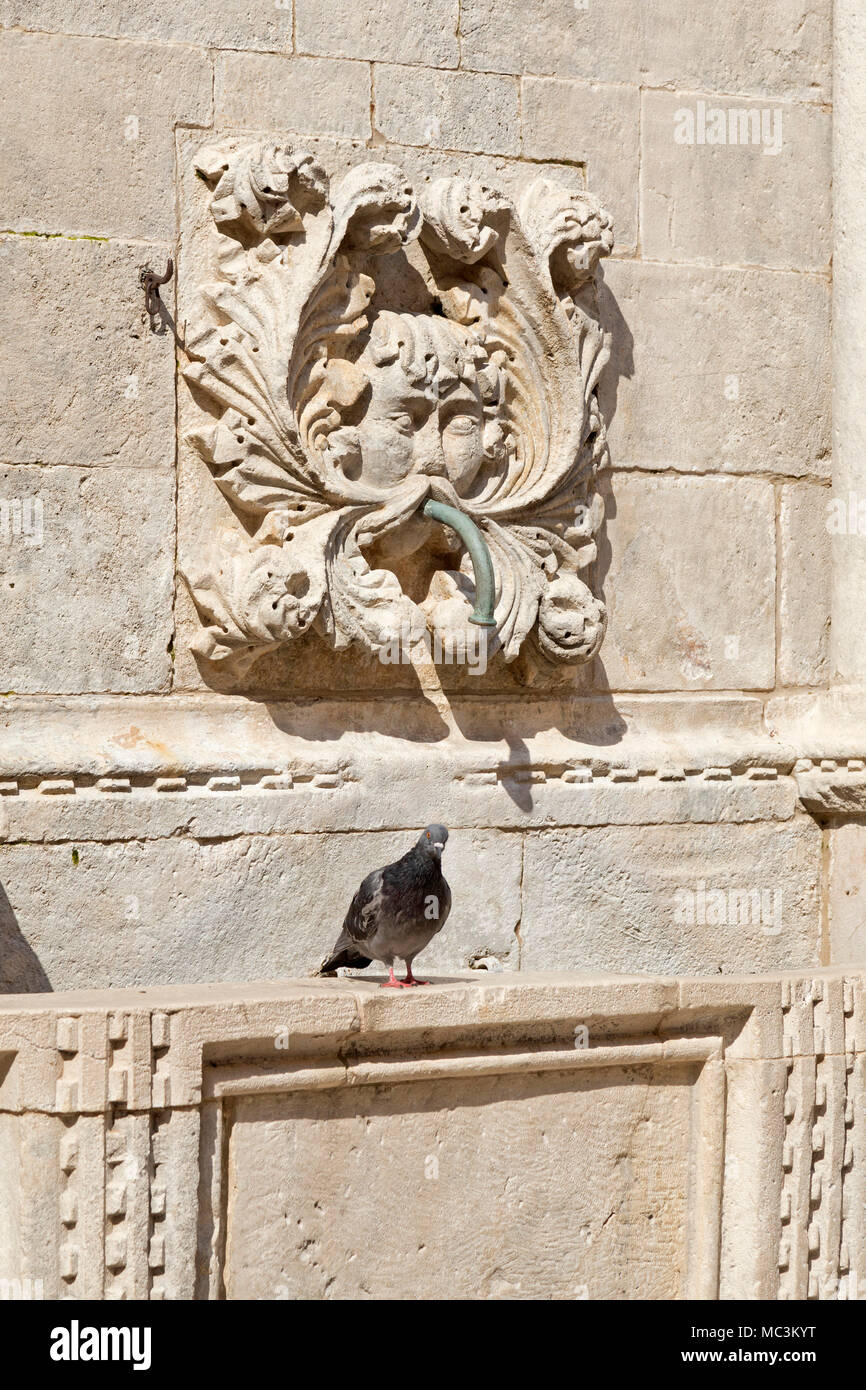 Detail, große Onophrian Brunnen, Altstadt, Dubrovnik, Kroatien Stockfoto