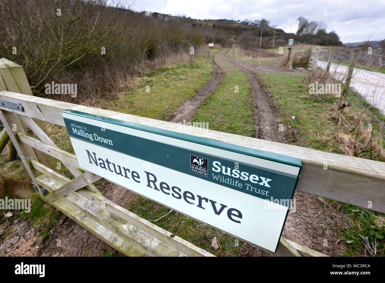 Alte chalk Gruben in Malling, Naturschutzgebiet in den South Downs National Park, Lewes, East Sussex, Großbritannien Stockfoto