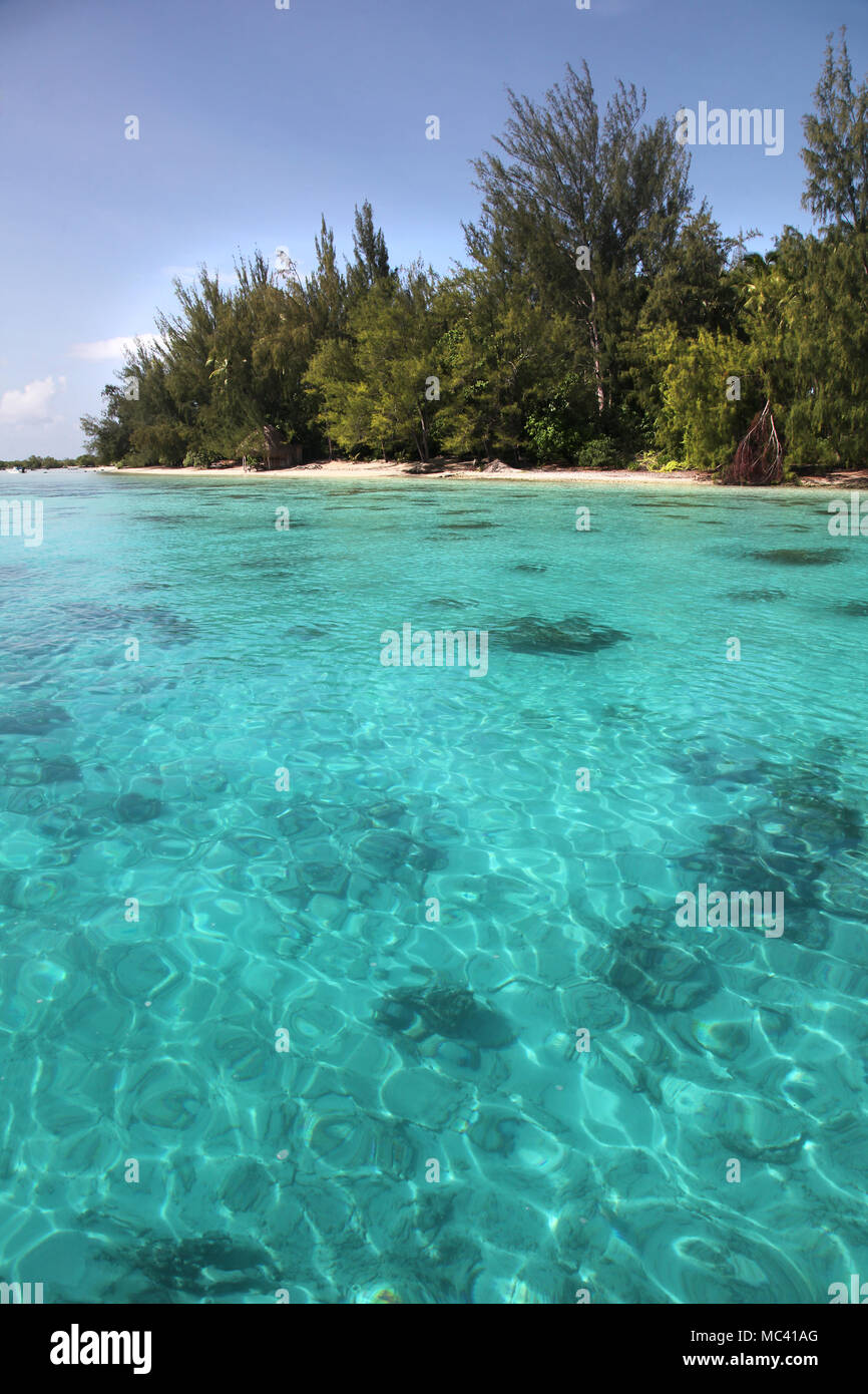 Tropischen Küste von Moorea mit türkisfarbenem Wasser, schöne Inseln, Französisch Polynesien, Südsee. Stockfoto