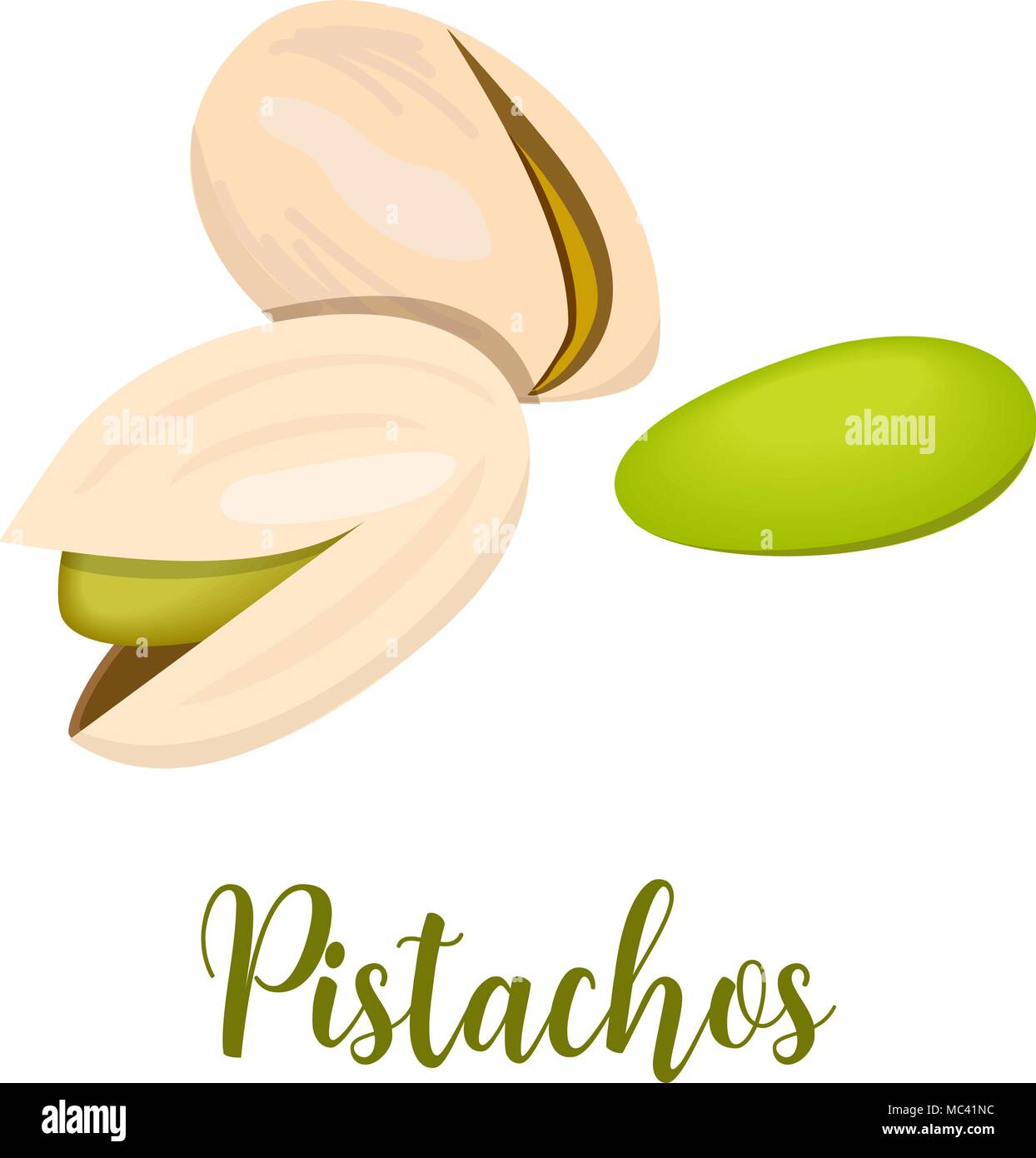 Pistazien. Auf einem weißen Hintergrund. Vector Illustration realistische Pistazie Kernel, Ganze und rissig. Stock Vektor