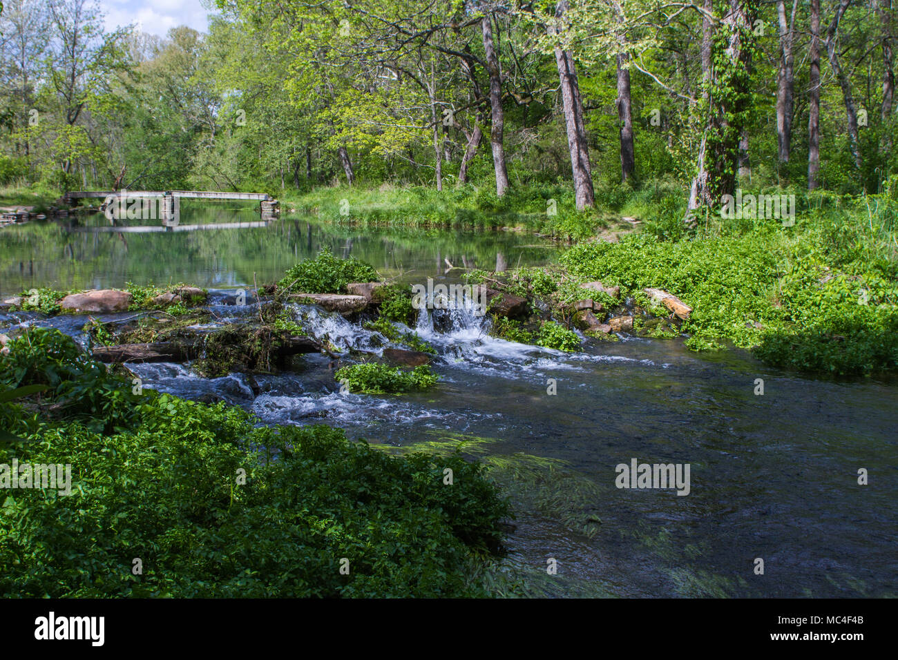 Fuß-Brücke in Montauk State Park, Missouri Stockfoto