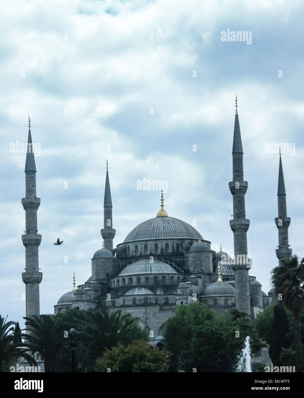 Eine Moschee und eine Taube stehend Symbolische zusammen ein offener Ort, in Istanbul, die vor kurzem mehrere Terroranschläge erlitten. 14.05.2016 Stockfoto