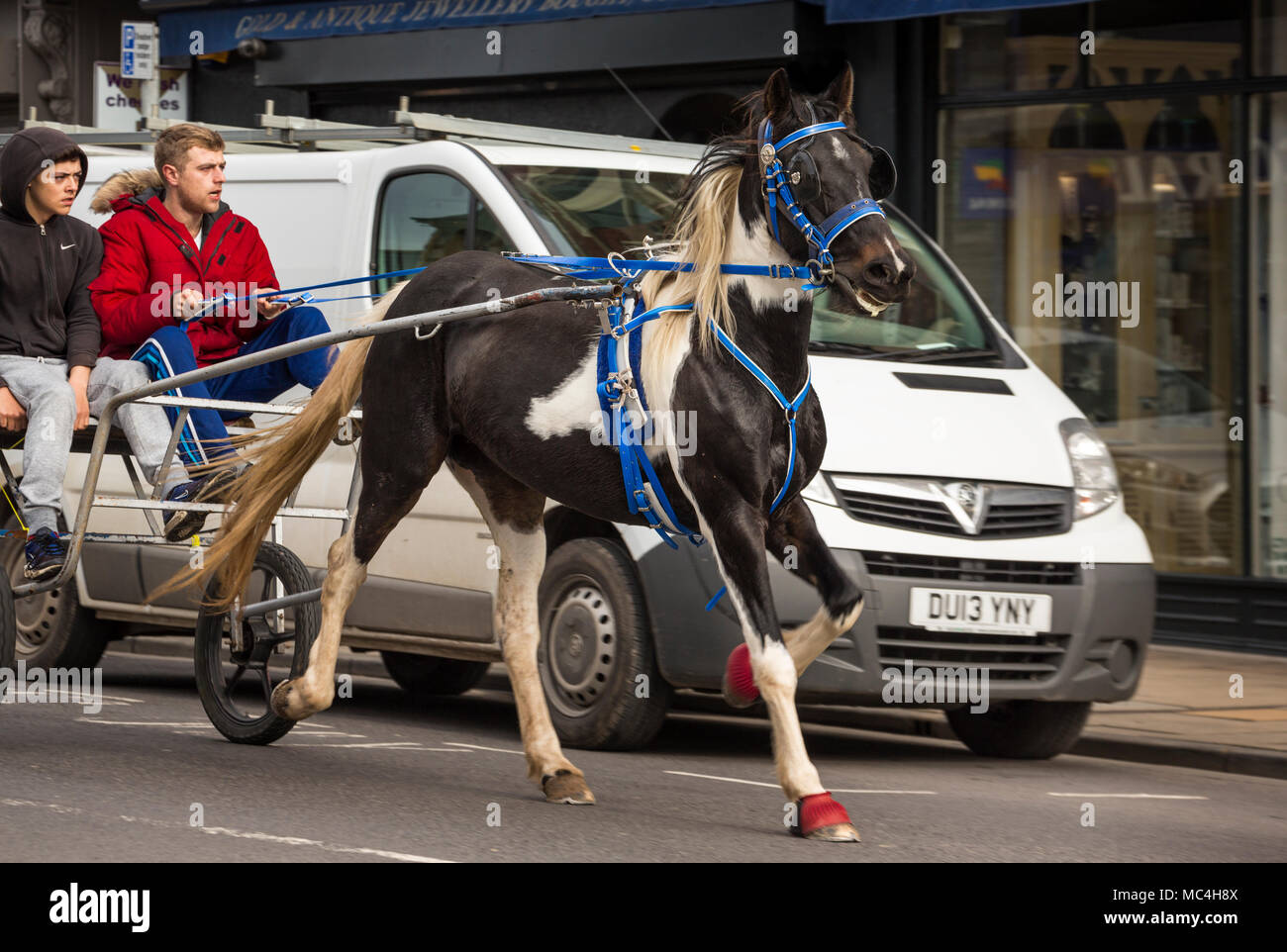 Zwei junge Männer, die mit Pferdewagen zurückgelegt. Stockfoto