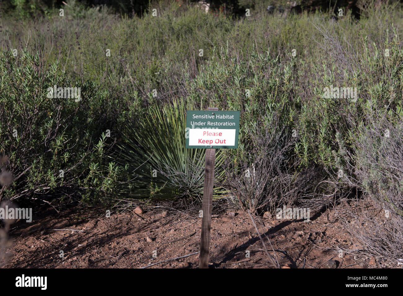 Sensiblen Lebensraum in Restaurierung Bitte halten Sie sich an Tucker Wildlife Sanctuary in Modjeska Canyon, Orange County, Kalifornien. USA Stockfoto
