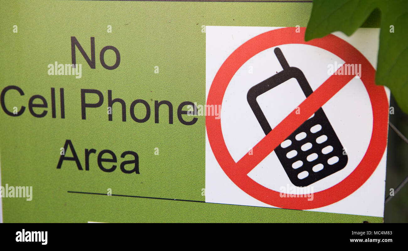 Ruhige Zone und kein Handy oder Vogel Anrufer Bereich Schild am Tucker Wildlife Sanctuary in Modjeska Canyon, Orange County, Kalifornien, USA Stockfoto