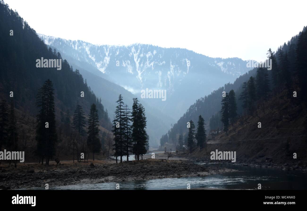 Tannen am Fluss Bett mit Schnee bedeckte Berge im Hintergrund - Kaschmir Landschaft Stockfoto