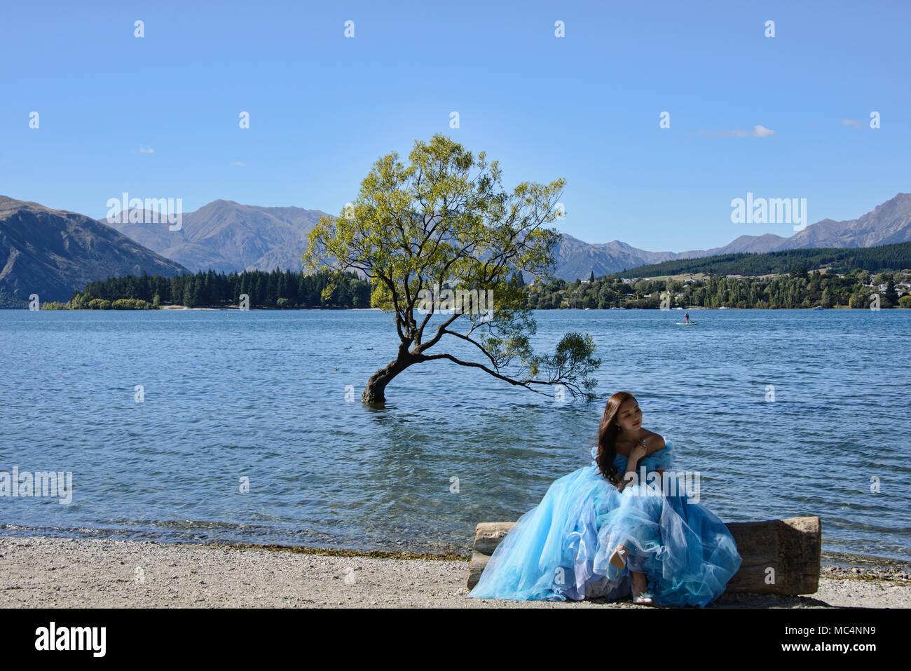 Der berühmte Baum, Wanaka Lake Wanaka, Neuseeland Stockfoto