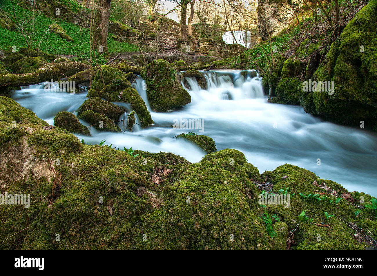 Lange Exposition von Wasser, das über einen Wasserfall bei Janet's Foss in Yorkshire. Stockfoto