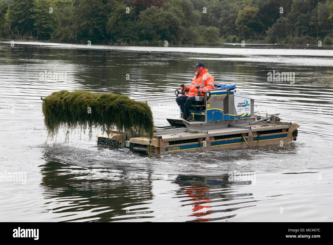 3 Truxor amphibischen Maschine für die Sammlung und Erfassung der aquatischen Unkräuter in Betrieb bei Trentham Gardens, Stoke-on-Trent Stockfoto