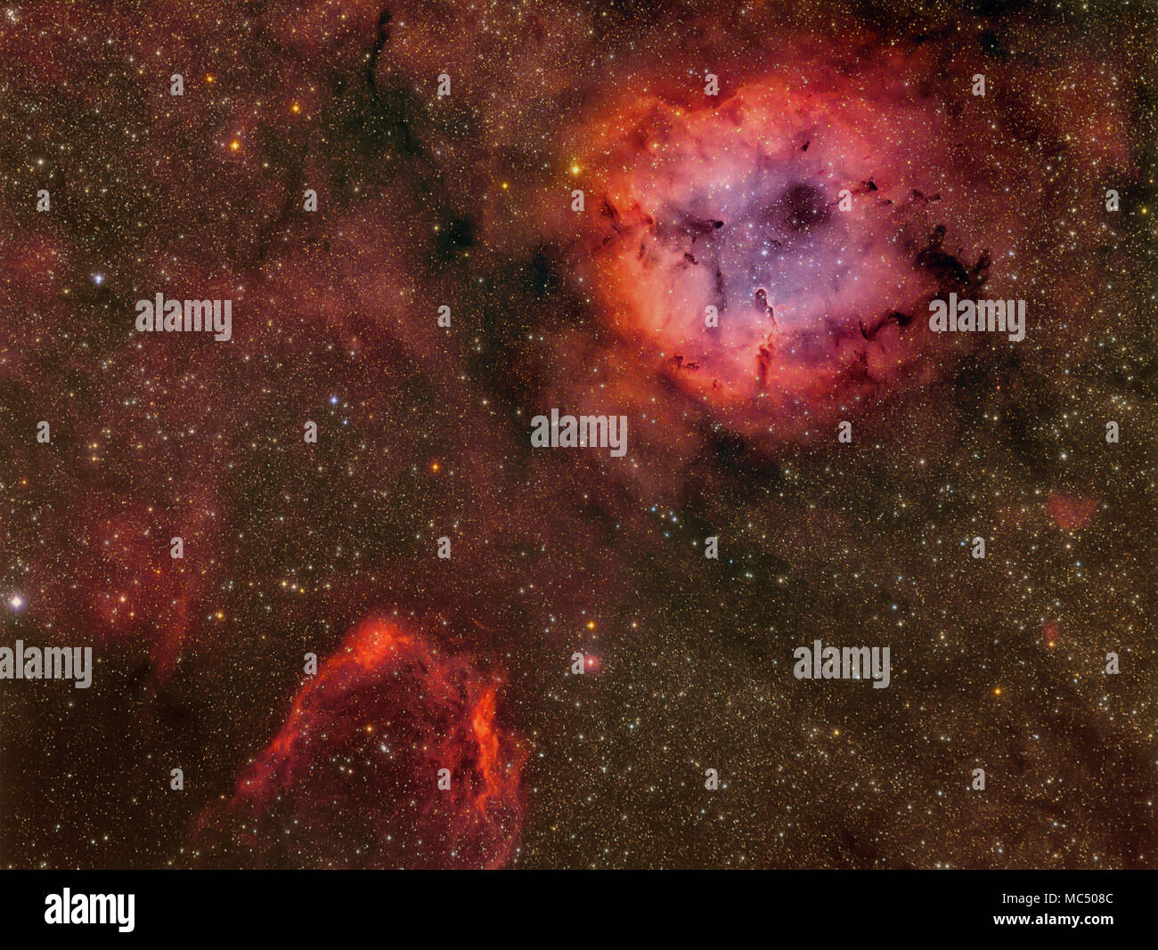 IC 1396 Der Elephant Trunk Nebula weites Feld Stockfoto