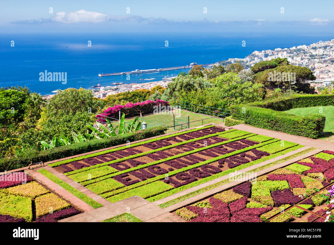 FUNCHAL, MADEIRA - Juli 09: Funchal Botanischer Garten am Juli 09, 2014 auf der Insel Madeira, Portugal. Stockfoto