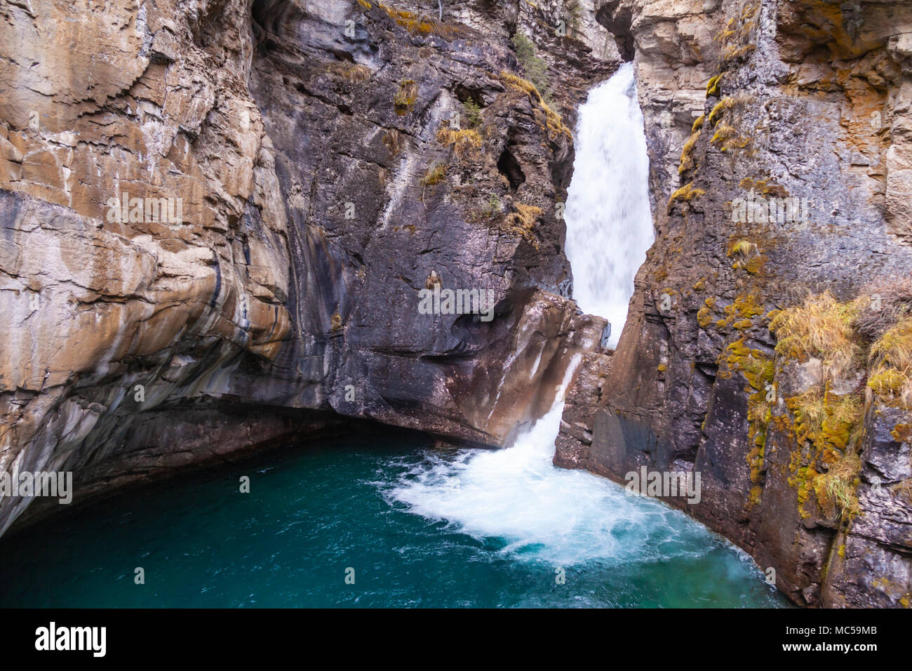 Wasserfall auf der schnell fliessenden Johnston Creek in der Johnston Canyon im späten Oktober, im Banff National Park in Alberta, Kanada. Stockfoto