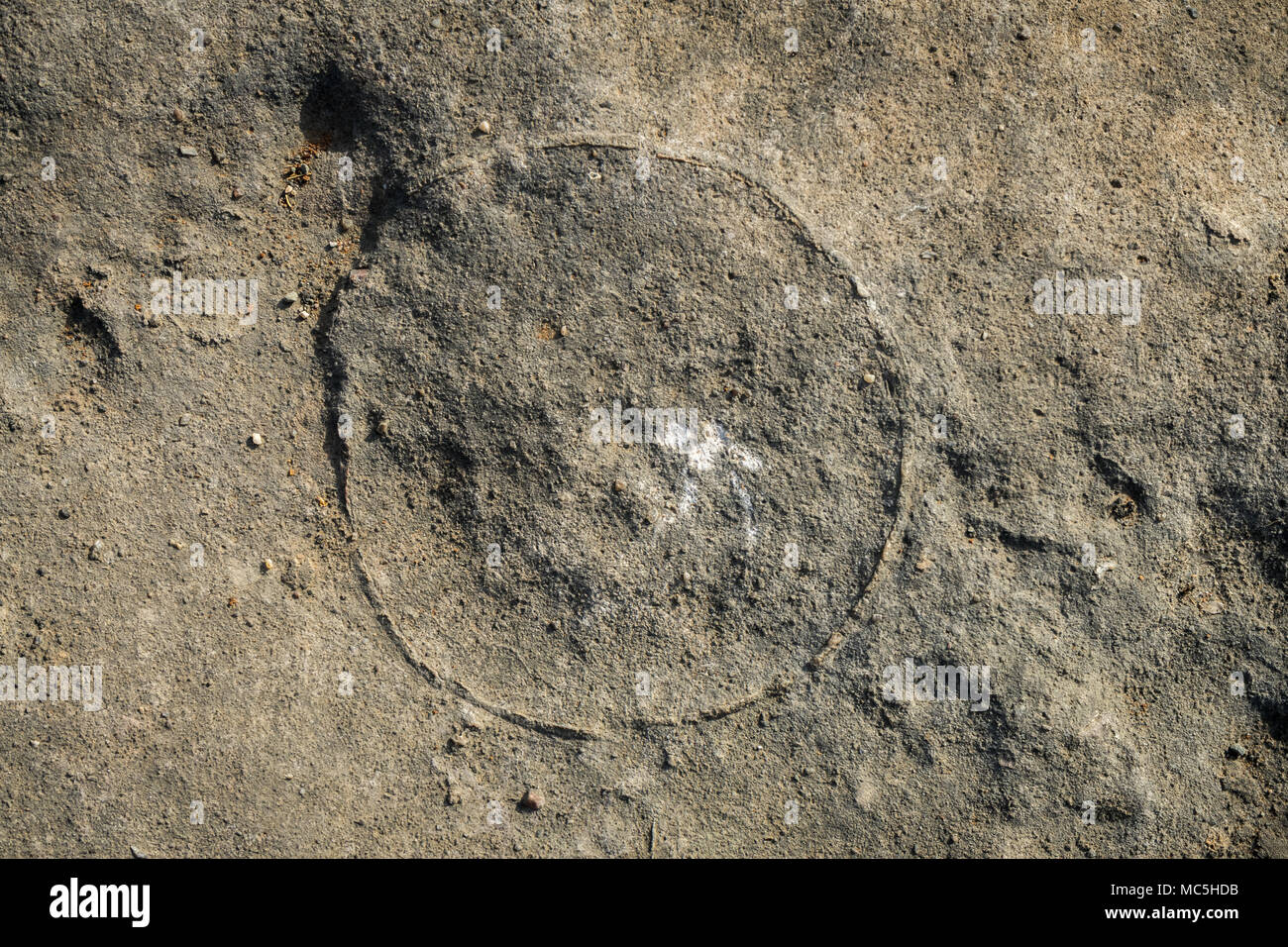 Foto von dinosaurierfossilien (Eier) erfasst Balasinor fossilen Park, Gujarat, Indien. Stockfoto