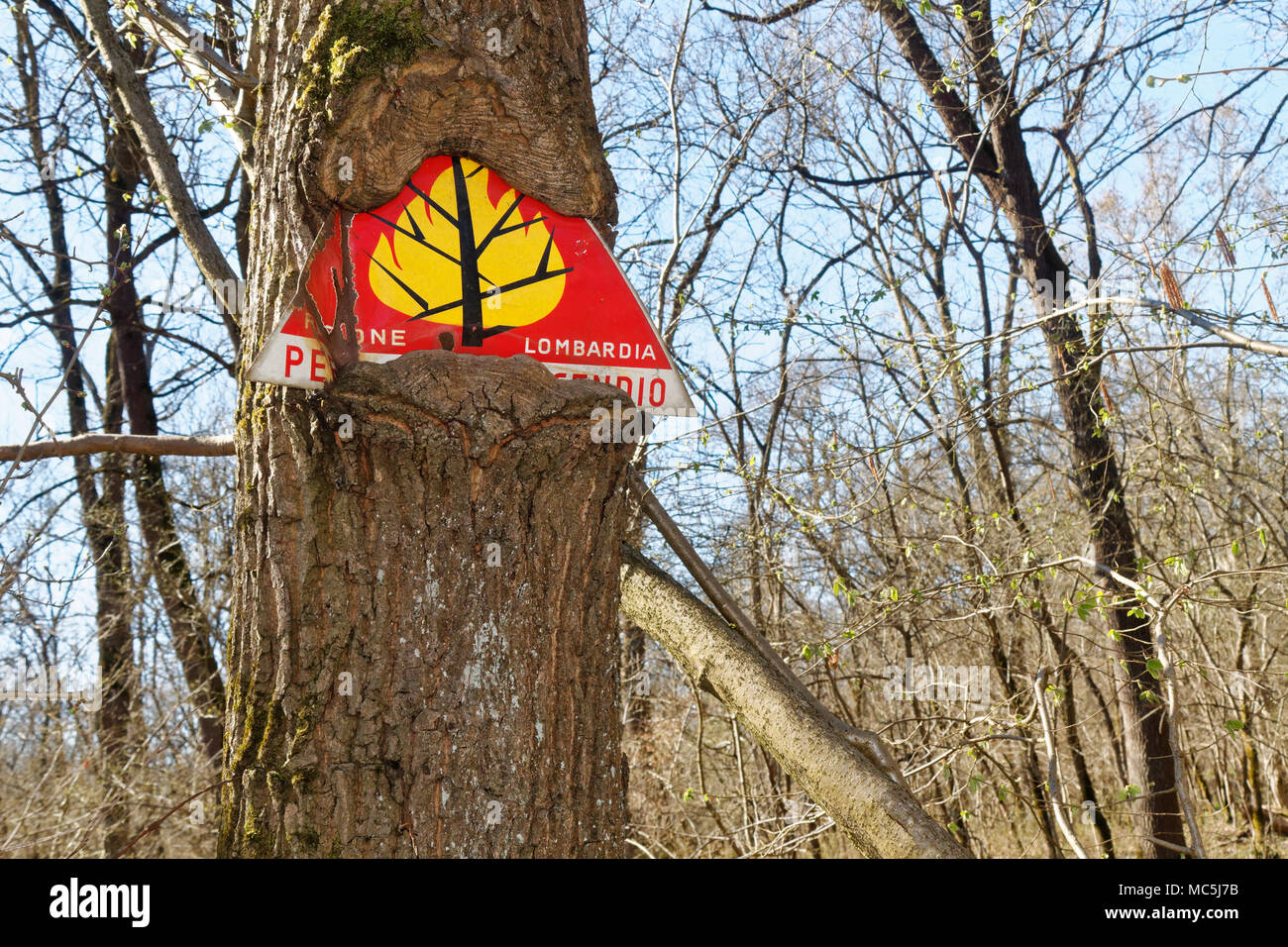 Warnschild über Schutz Wald aus dem Feuer wuchs zu einem Baum im Wald.  Übersetzung Lombardia - Name der Bezirk in Italien Stockfotografie - Alamy