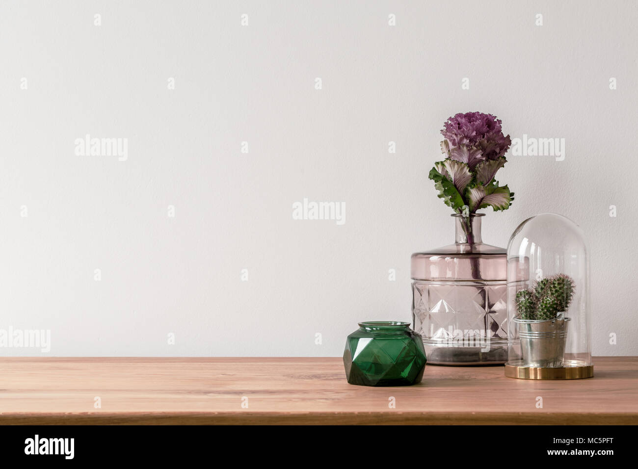 Nahaufnahme einer Blüte in einem rosafarbenen Glas Vase und einen kleinen Kaktus in einer Kuppel auf der Seite einer Holz- Oberfläche und einen leeren, weißen Hintergrund Stockfoto