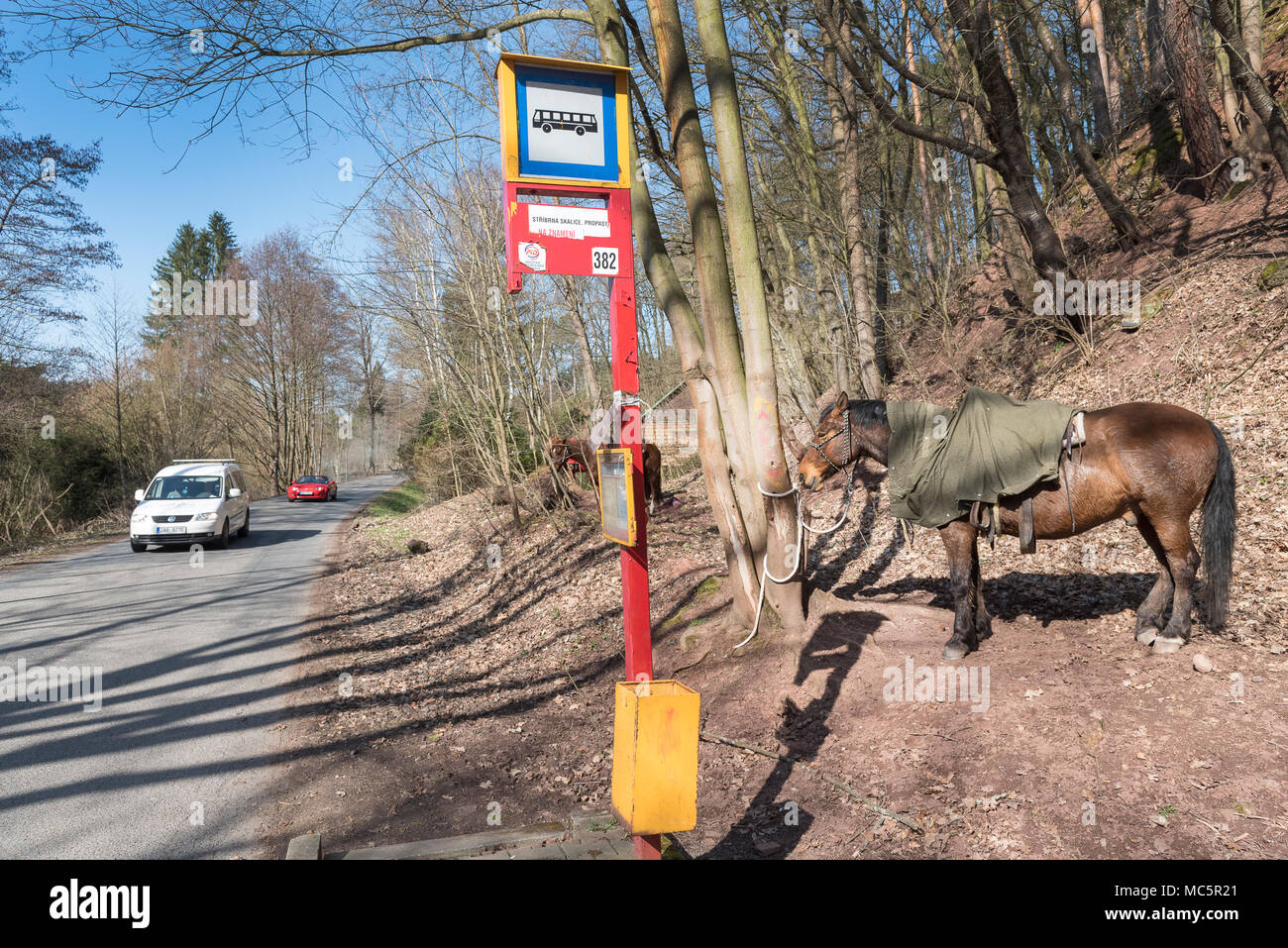 Pferd Warten an der Bushaltestelle Stockfoto