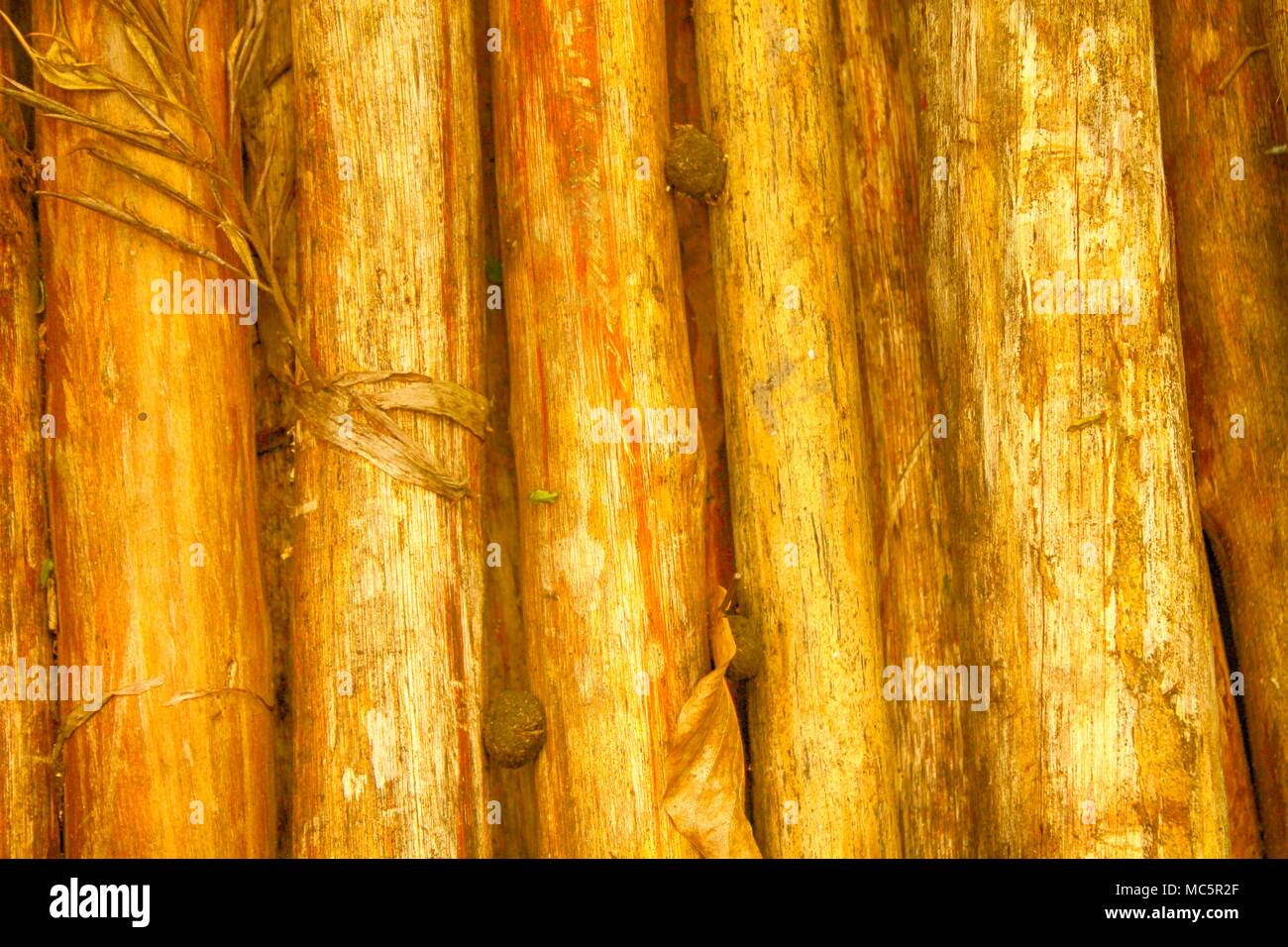 Orange Bambus wand Textur Hintergrund. Holz- Textur für Website oder mobile Geräte Stockfoto